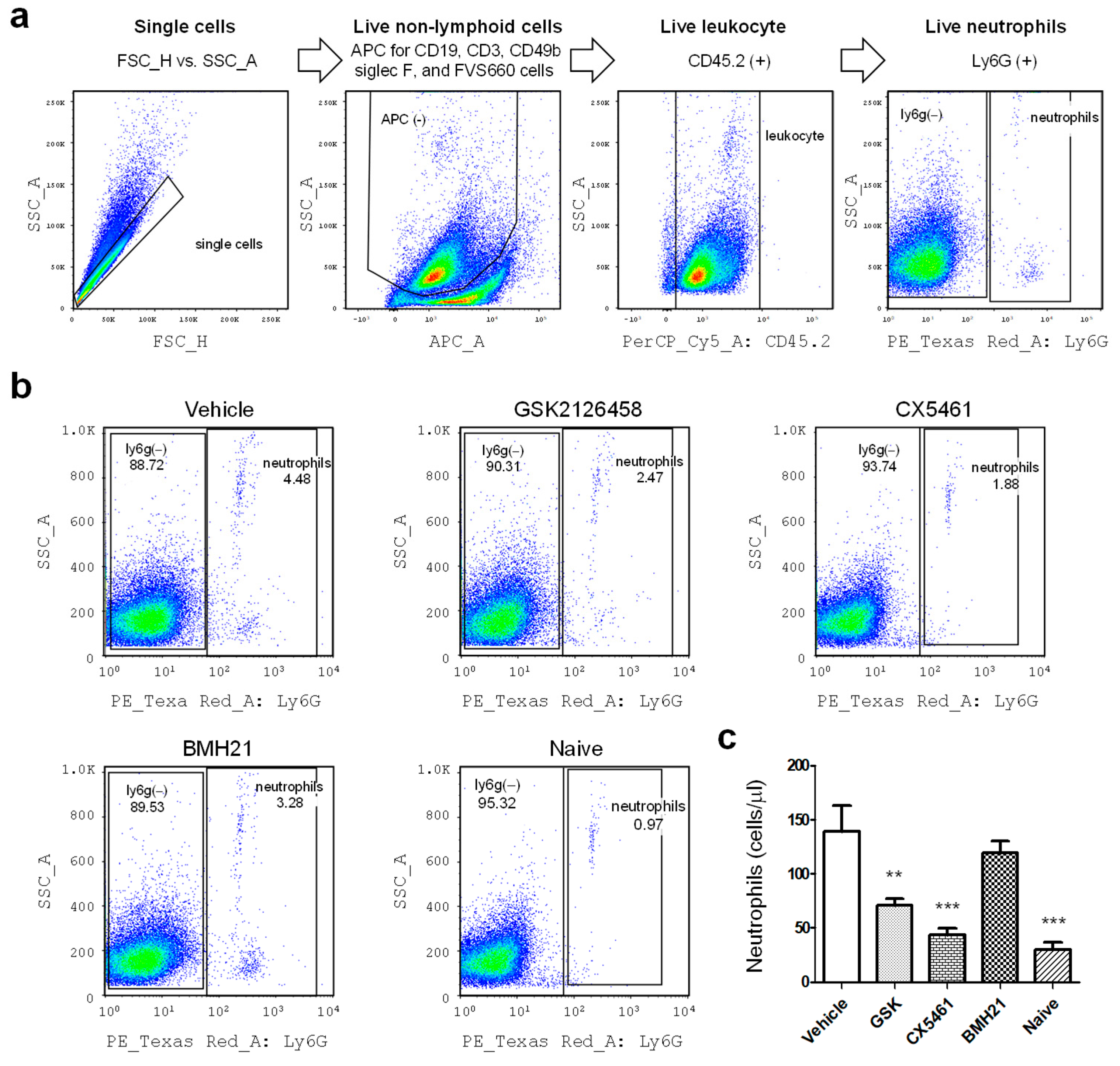Biomedicines 10 00185 g002