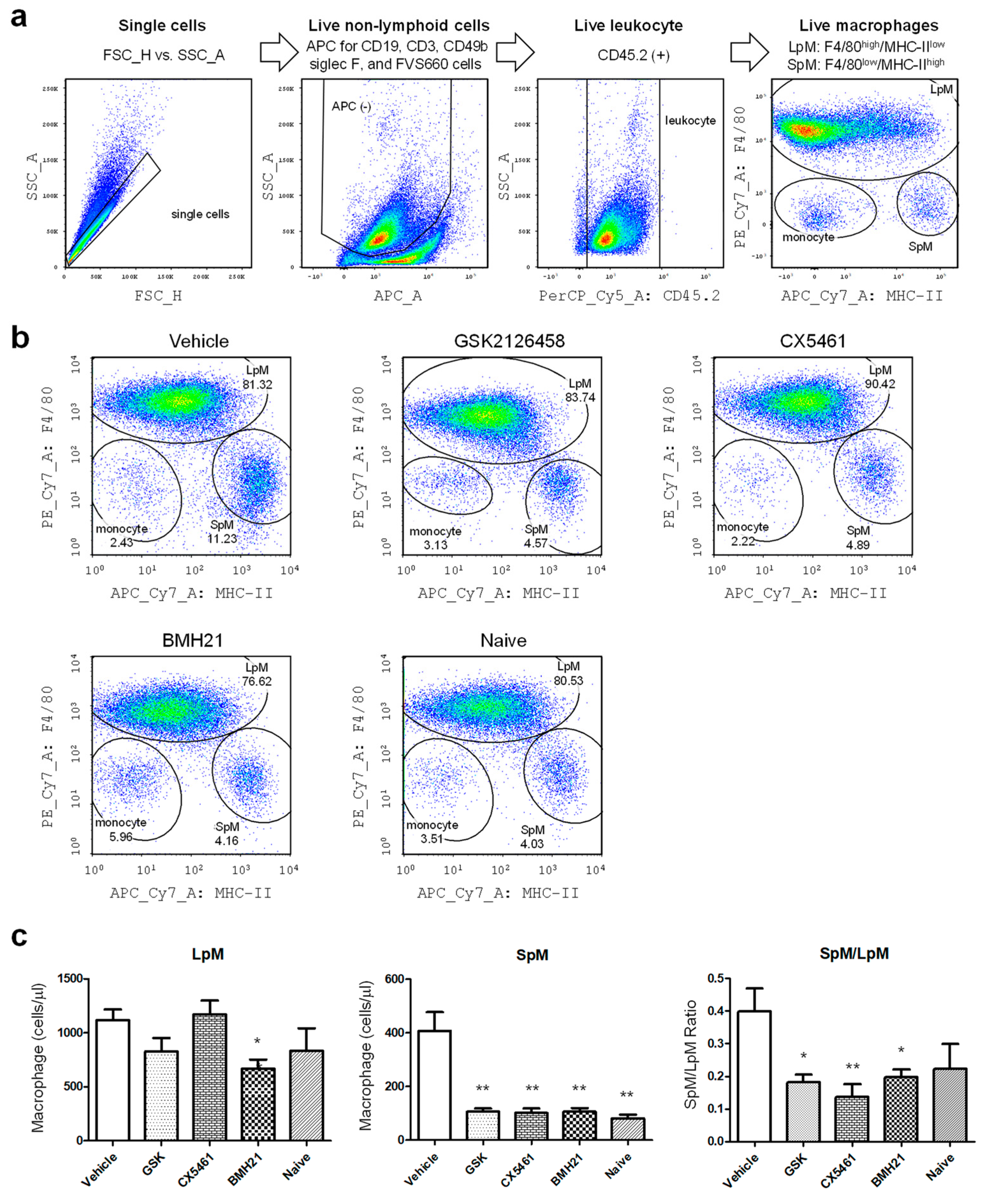 Biomedicines 10 00185 g003