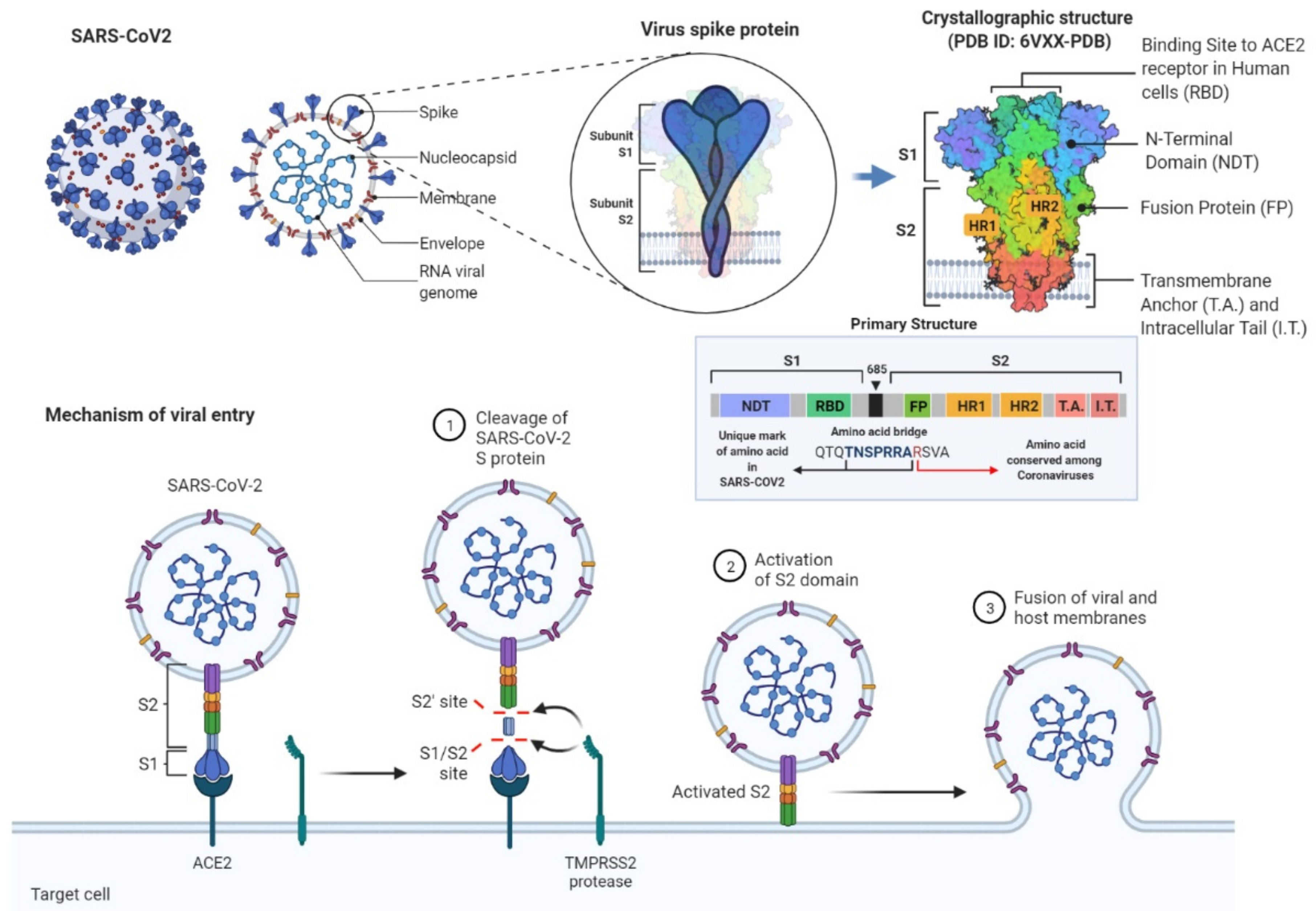 Biomedicines, Free Full-Text