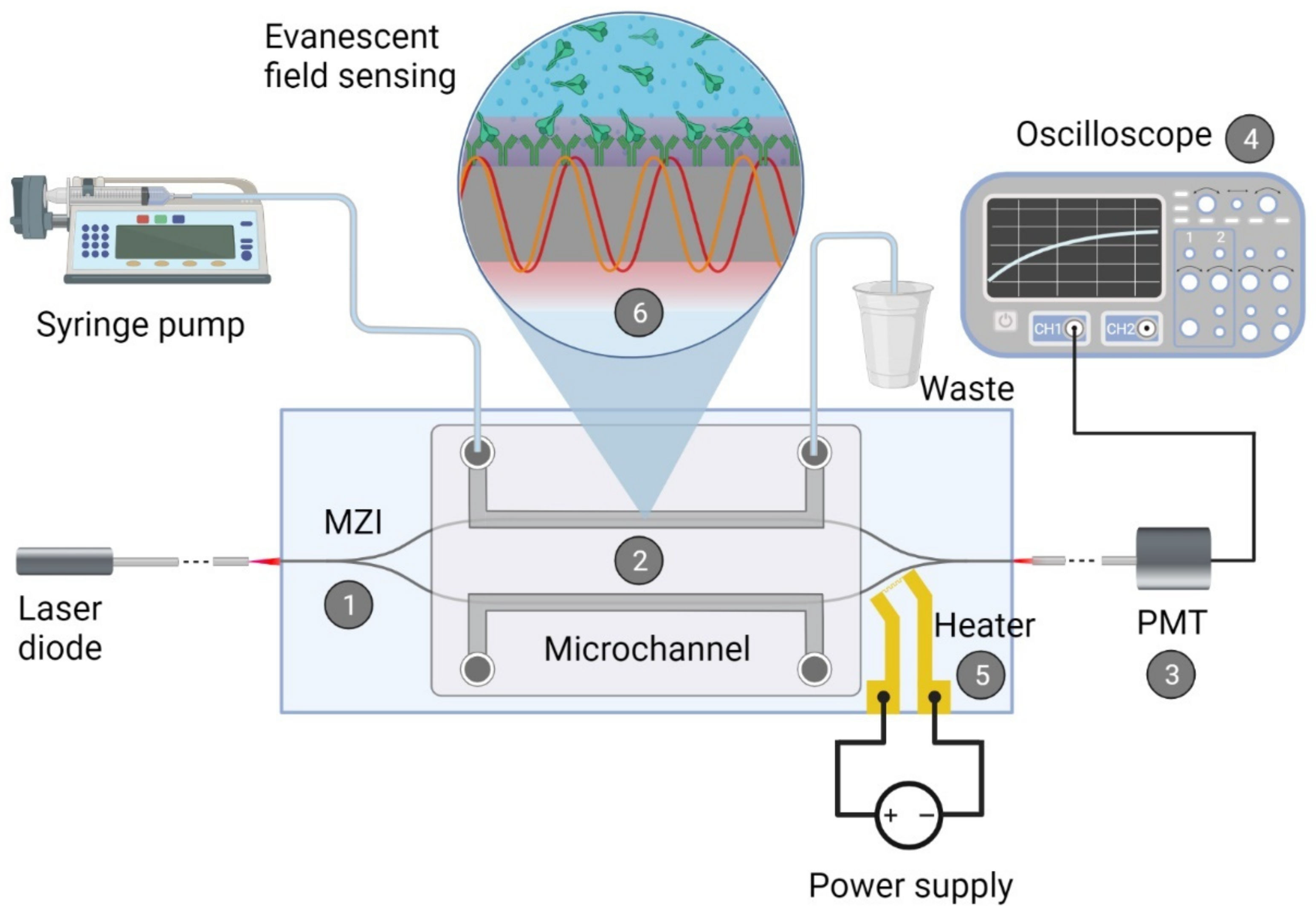 Biomedicines 10 00188 g002