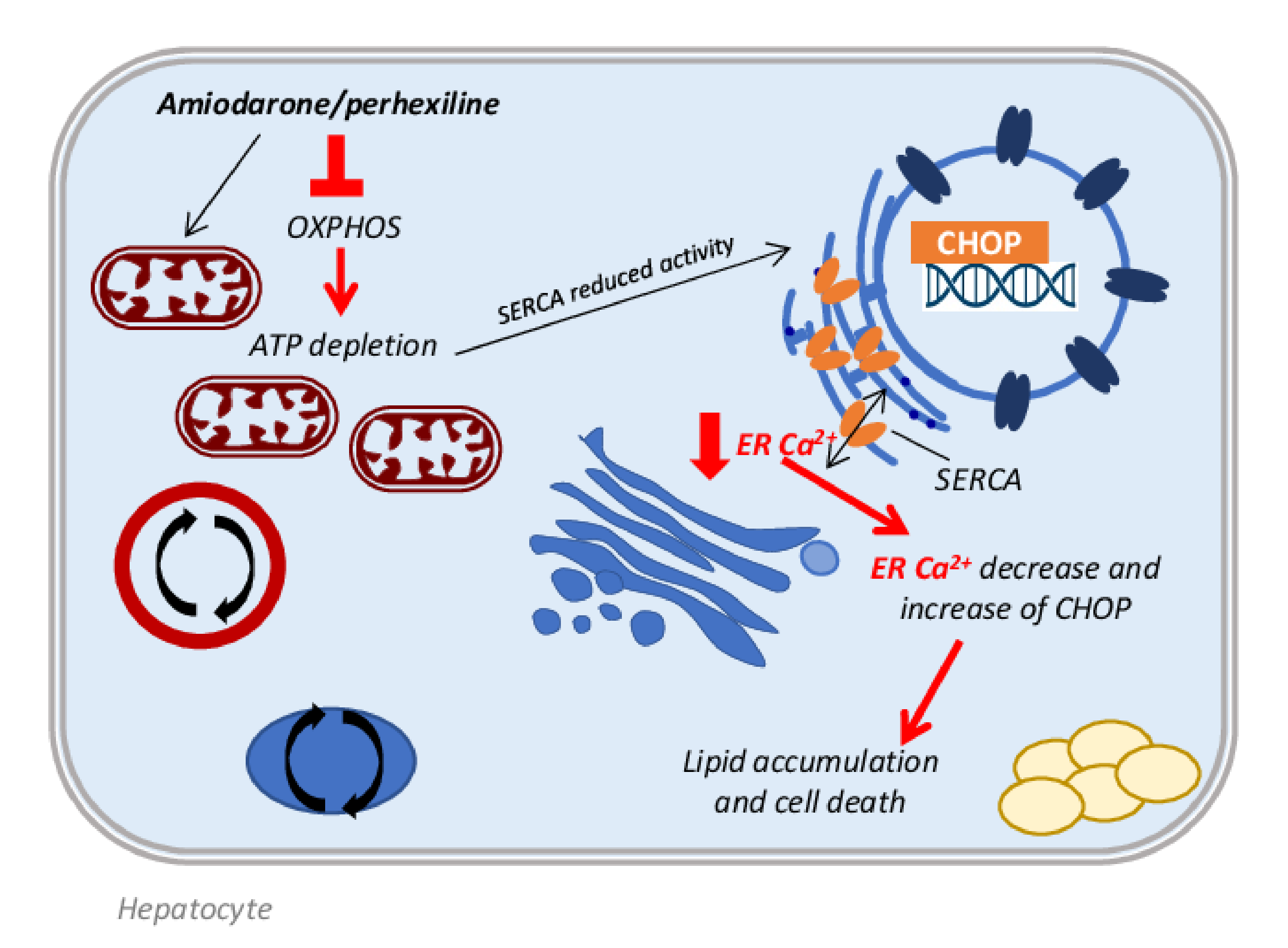 Biomedicines 10 00194 g002