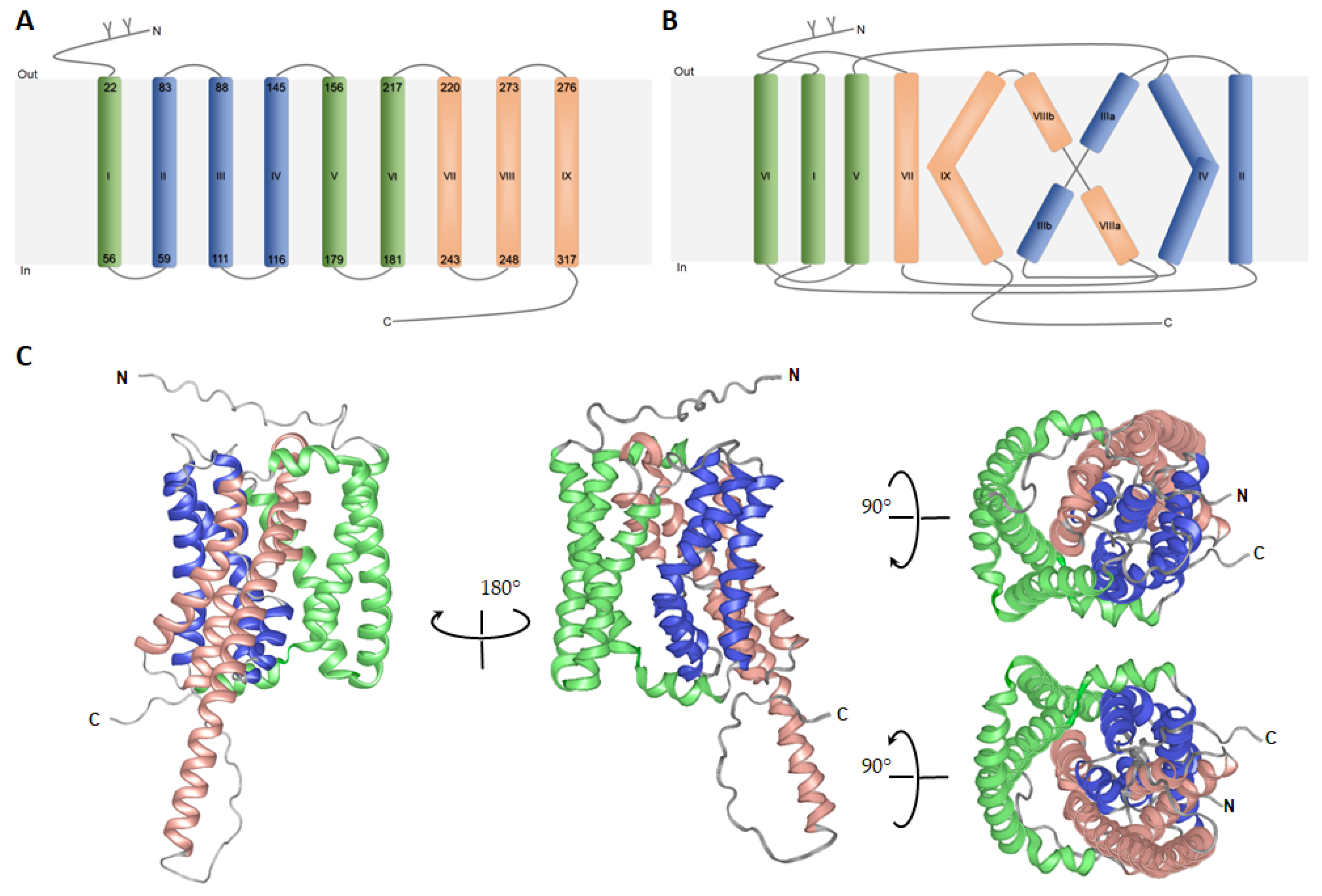 Biomedicines 10 00196 g002 Biomedicines 10 00196 g002