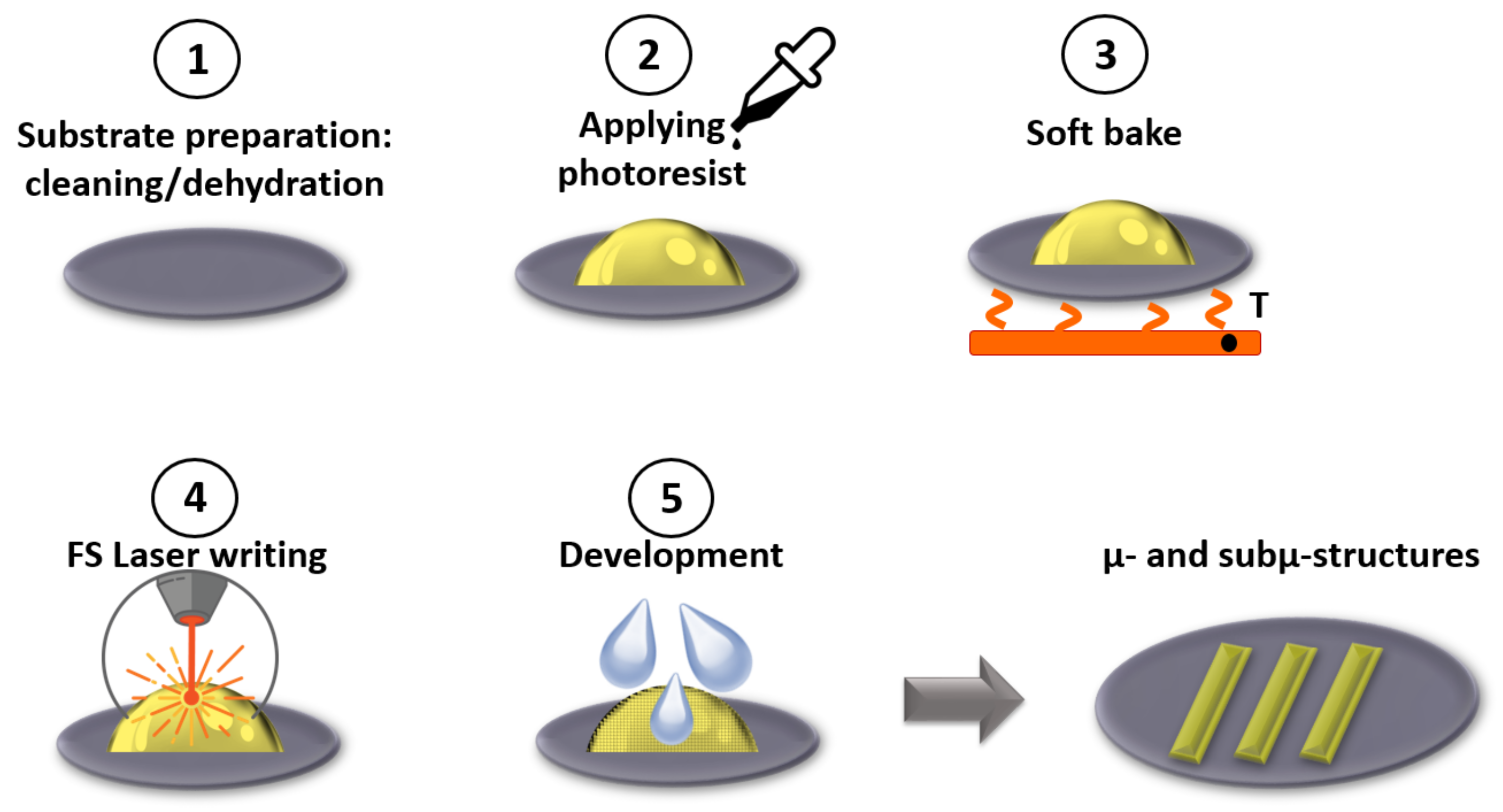 Biomedicines 10 00207 g002 Biomedicines 10 00207 g002