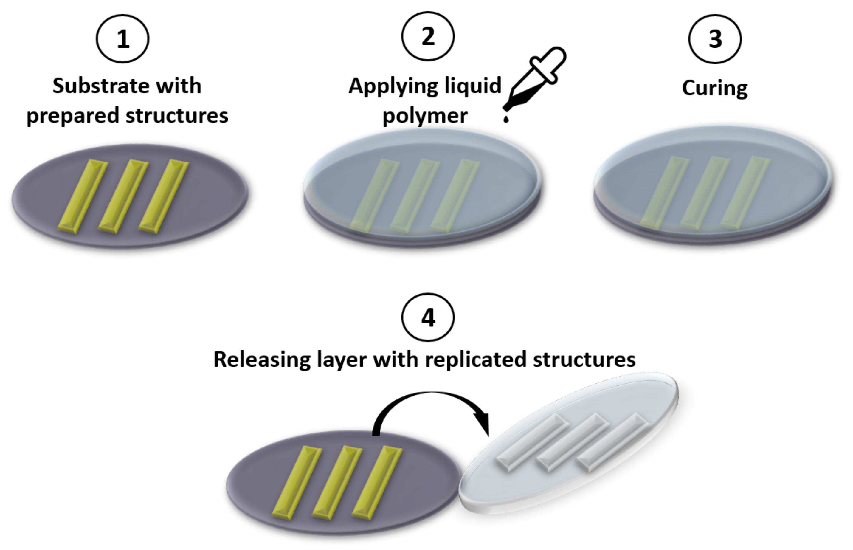 Biomedicines 10 00207 g003 Biomedicines 10 00207 g003
