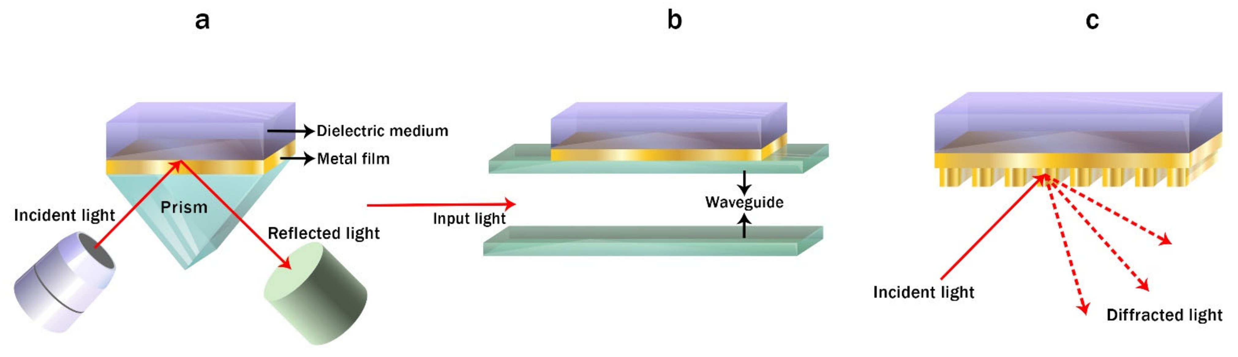 Biomedicines 10 00207 g008 Biomedicines 10 00207 g008