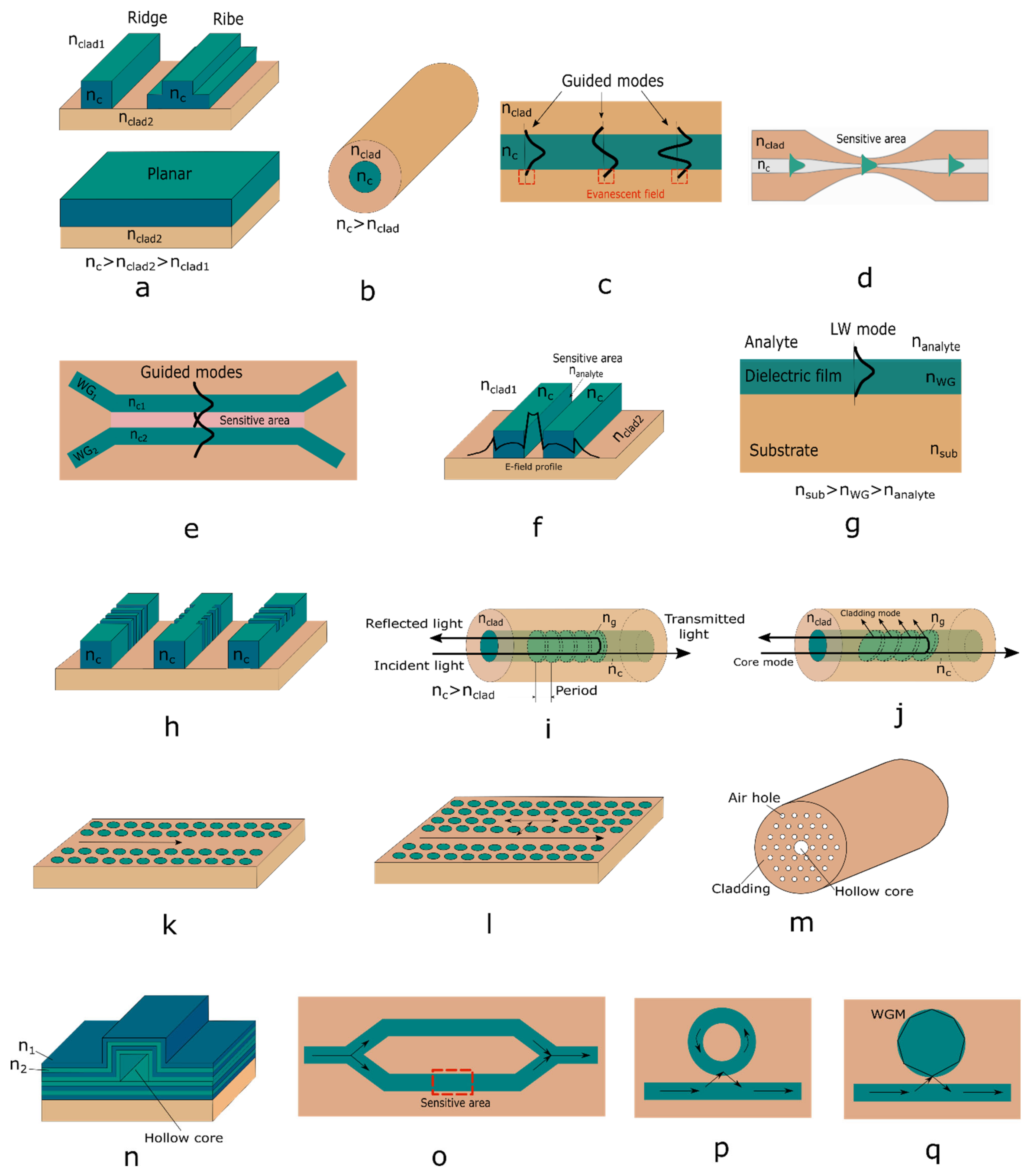 Biomedicines 10 00207 g011 Biomedicines 10 00207 g011