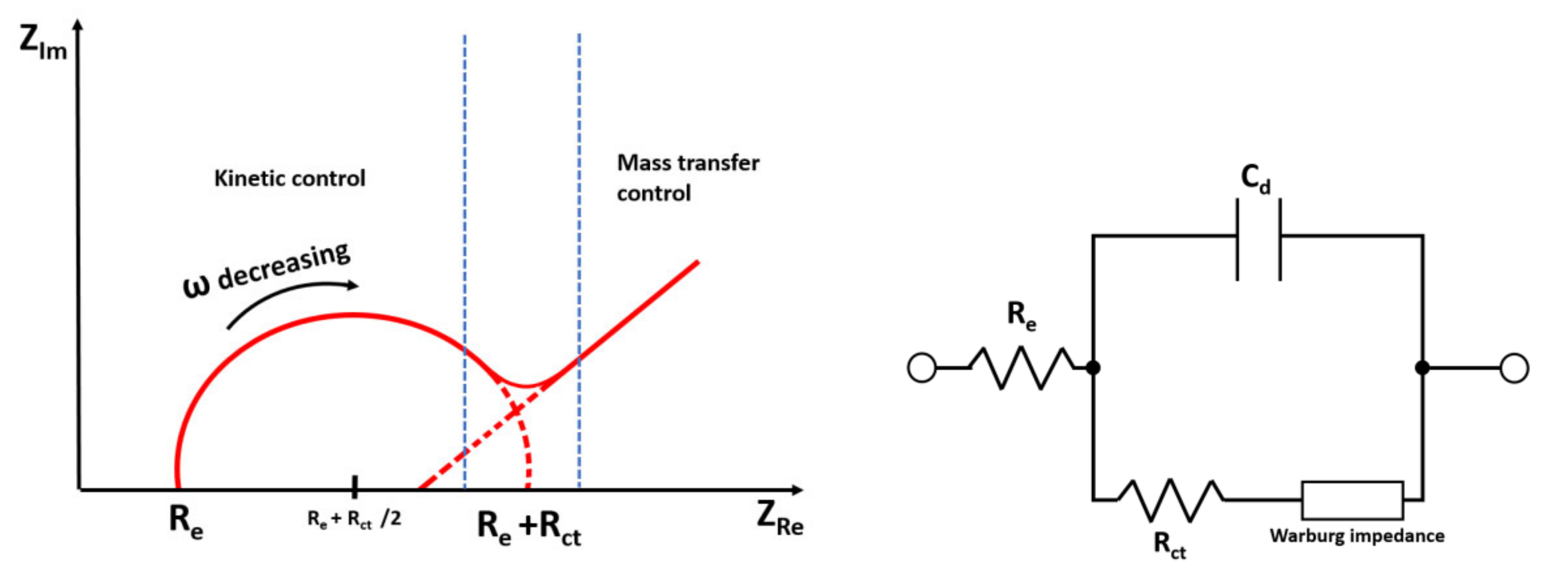 Biomedicines 10 00207 g012 Biomedicines 10 00207 g012