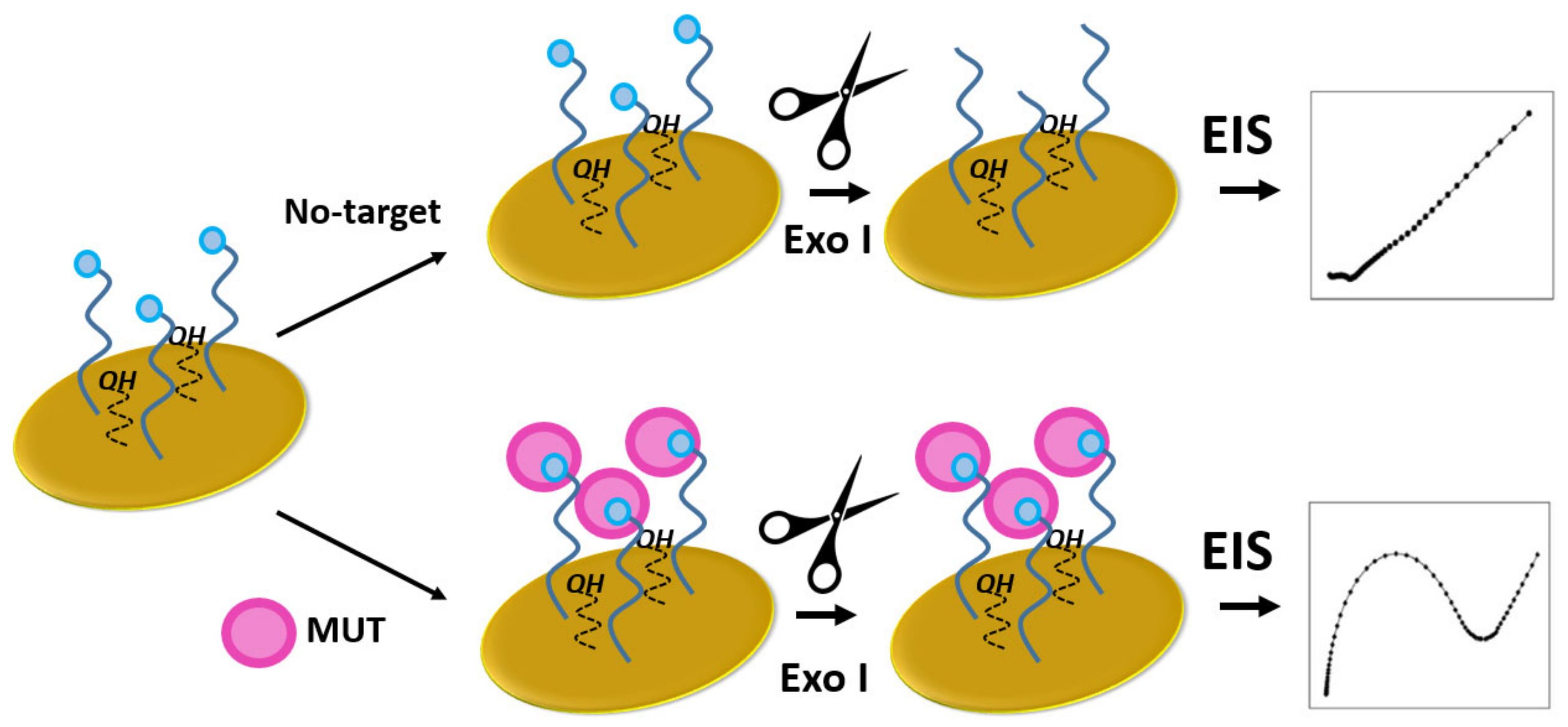 Biomedicines 10 00207 g013 Biomedicines 10 00207 g013