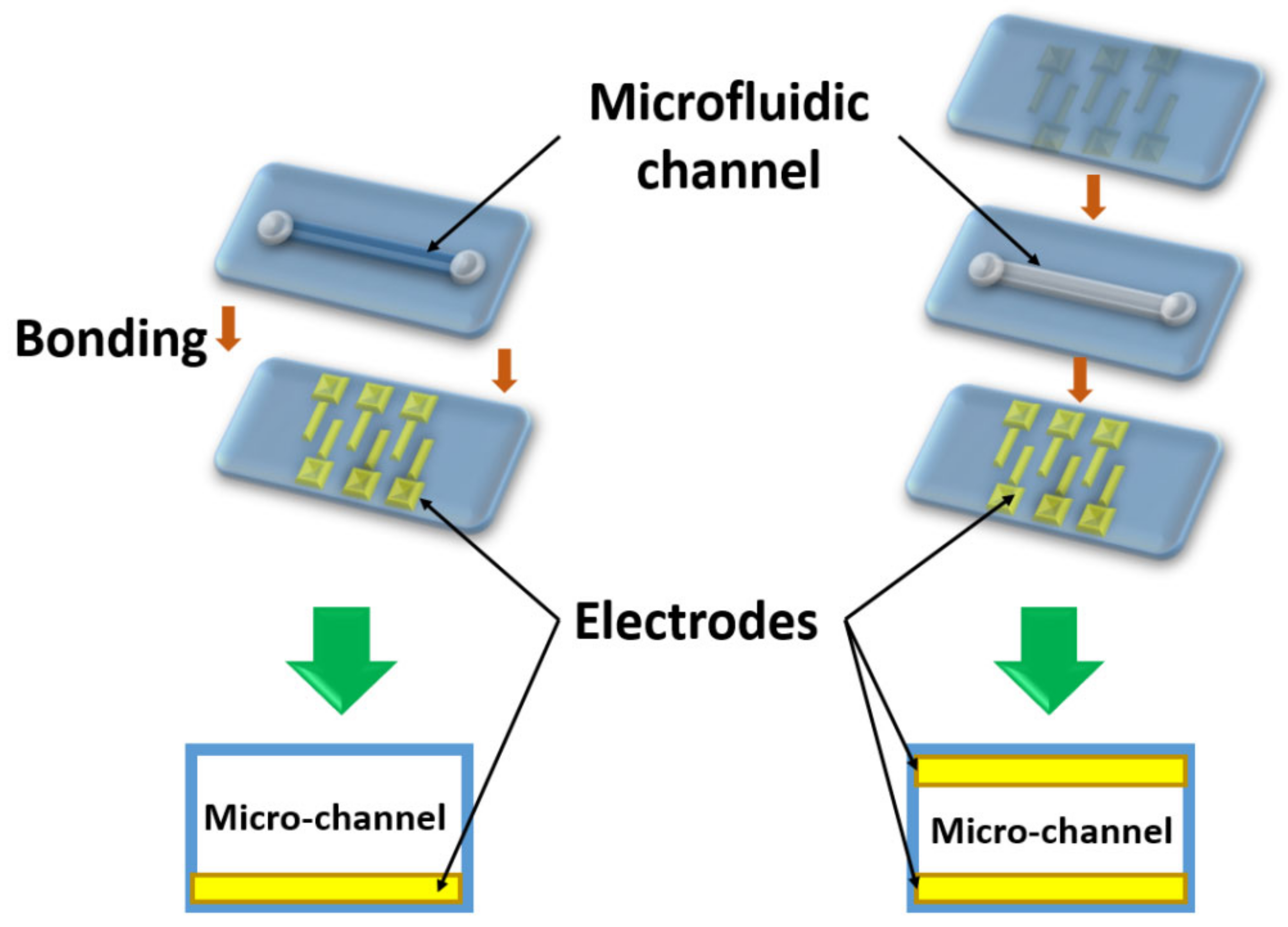 Biomedicines 10 00207 g014 Biomedicines 10 00207 g014