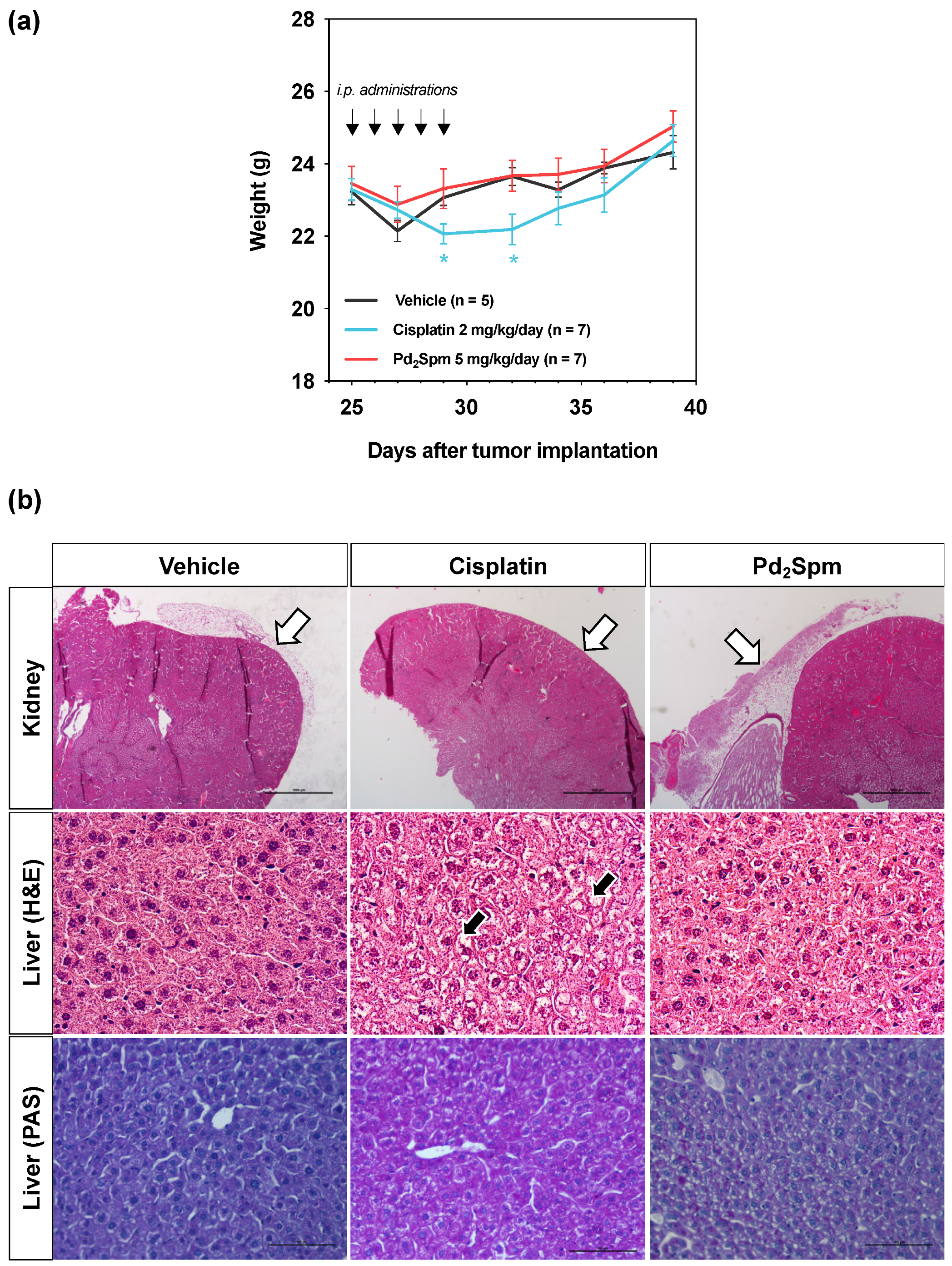 Biomedicines 10 00210 g005