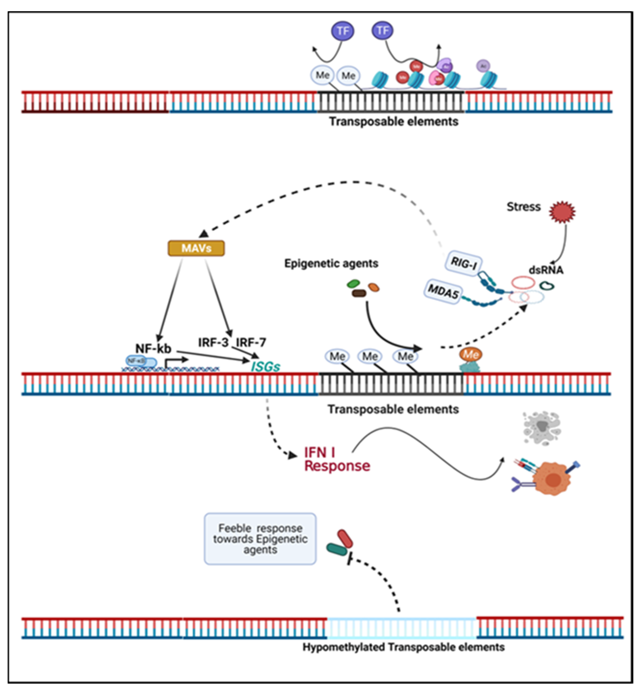 Biomedicines 10 00211 g002 Biomedicines 10 00211 g002