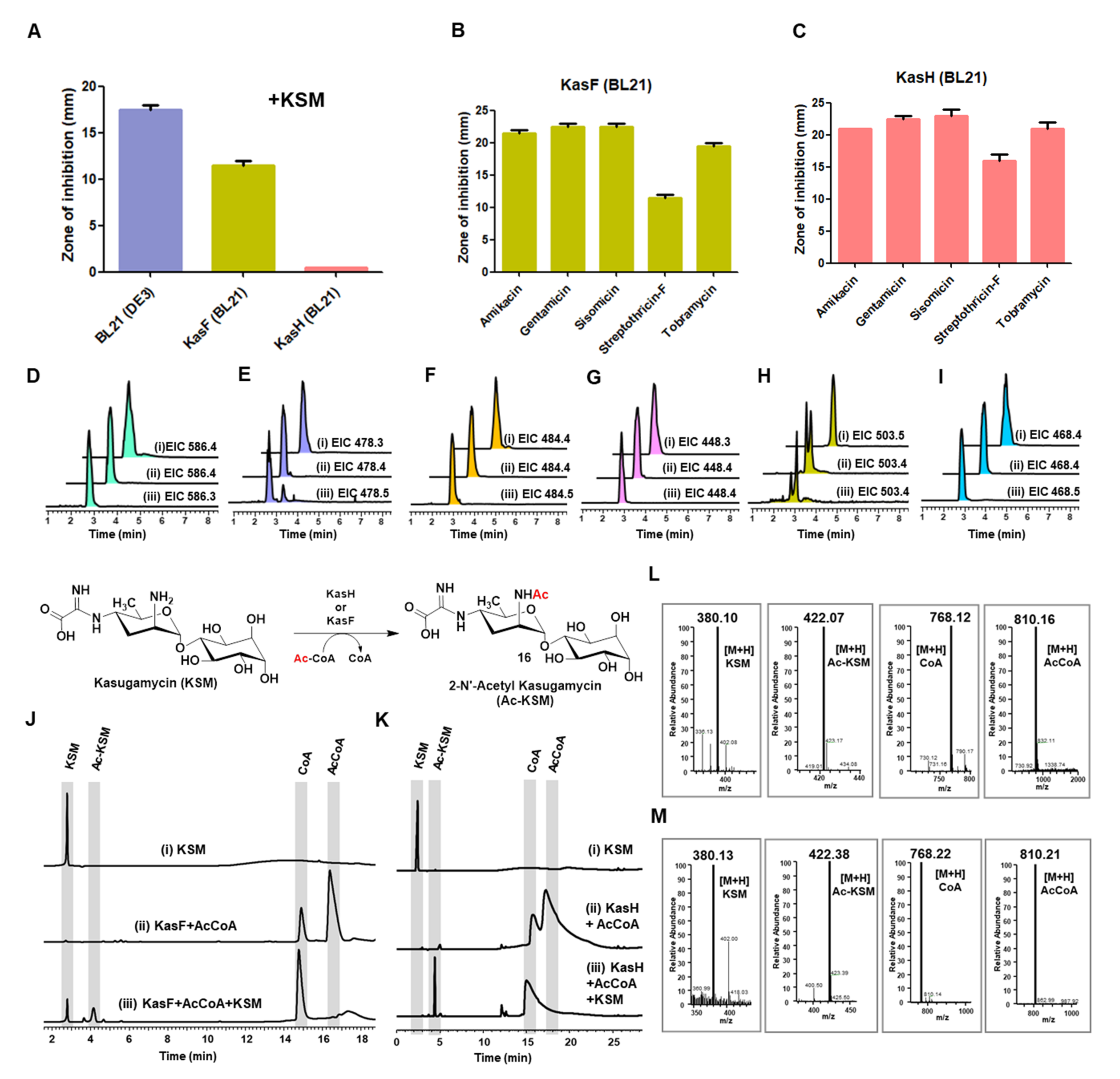 Biomedicines 10 00212 g004
