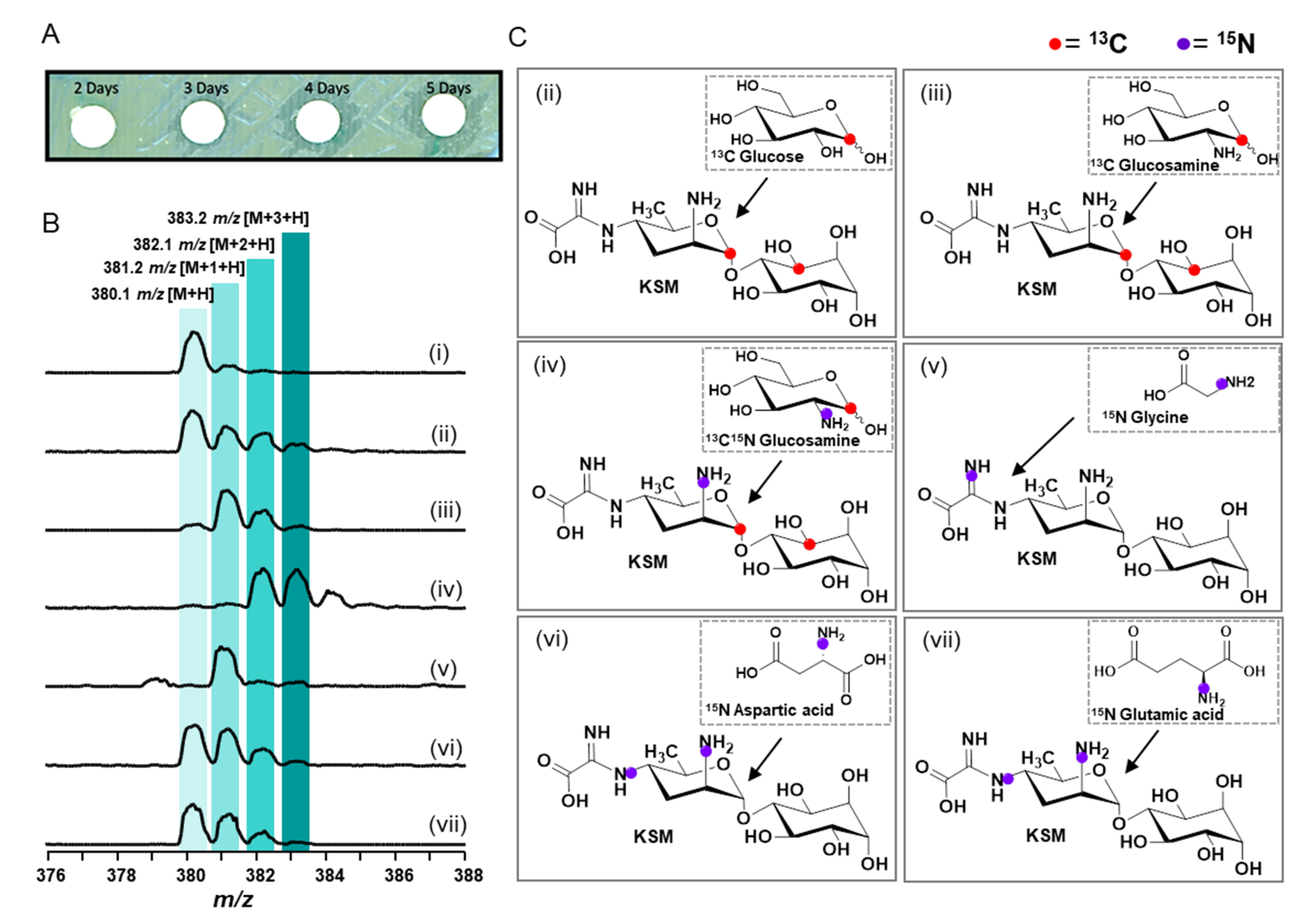 Biomedicines 10 00212 g008