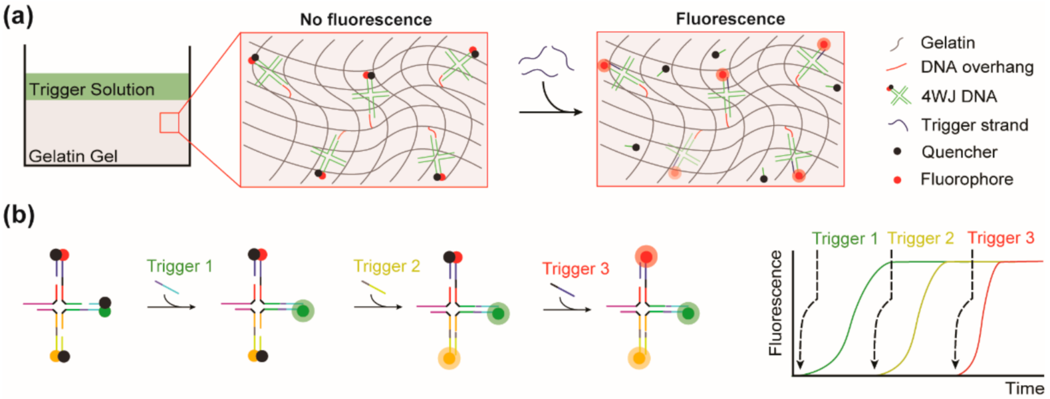 Biomedicines 10 00213 g001
