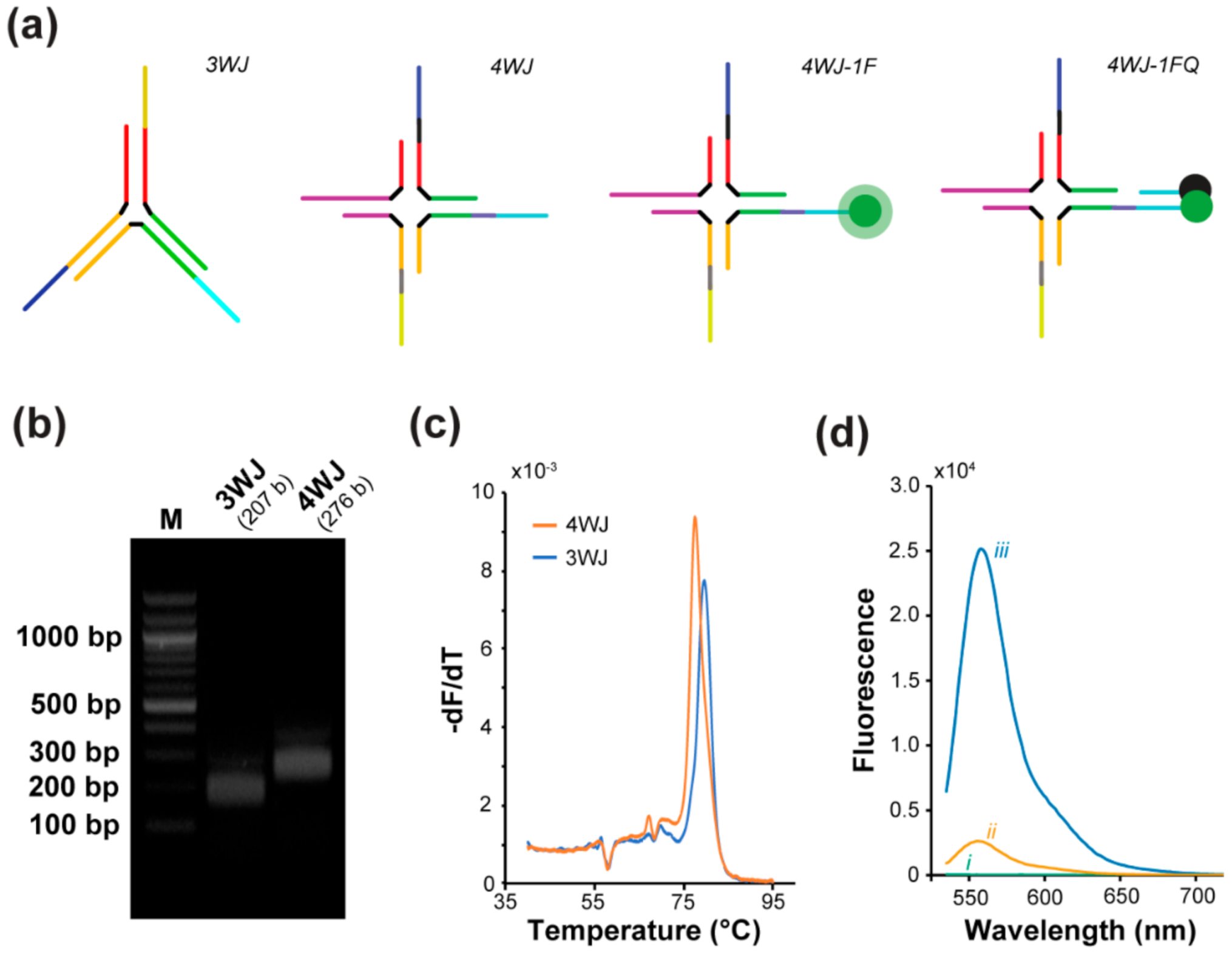 Biomedicines 10 00213 g002
