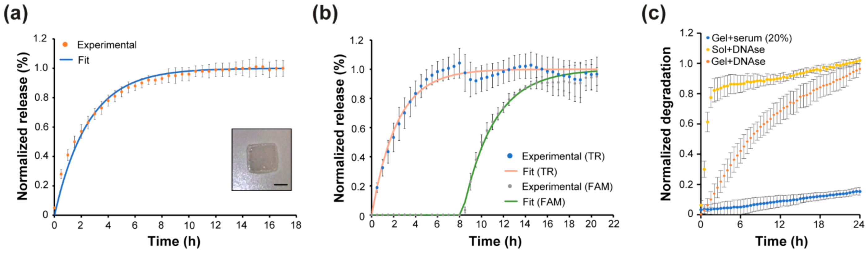 Biomedicines 10 00213 g004