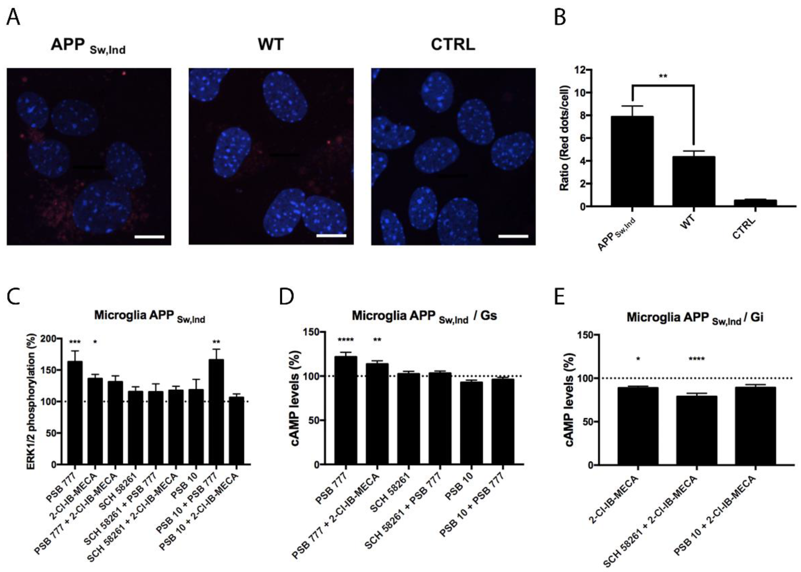 Biomedicines 10 00214 g005