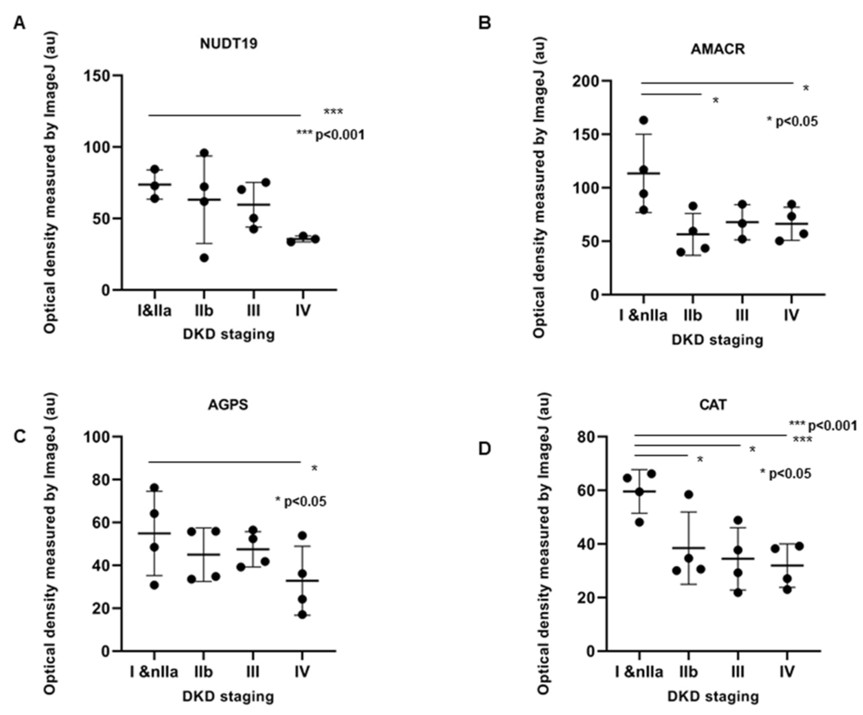 Biomedicines 10 00216 g006
