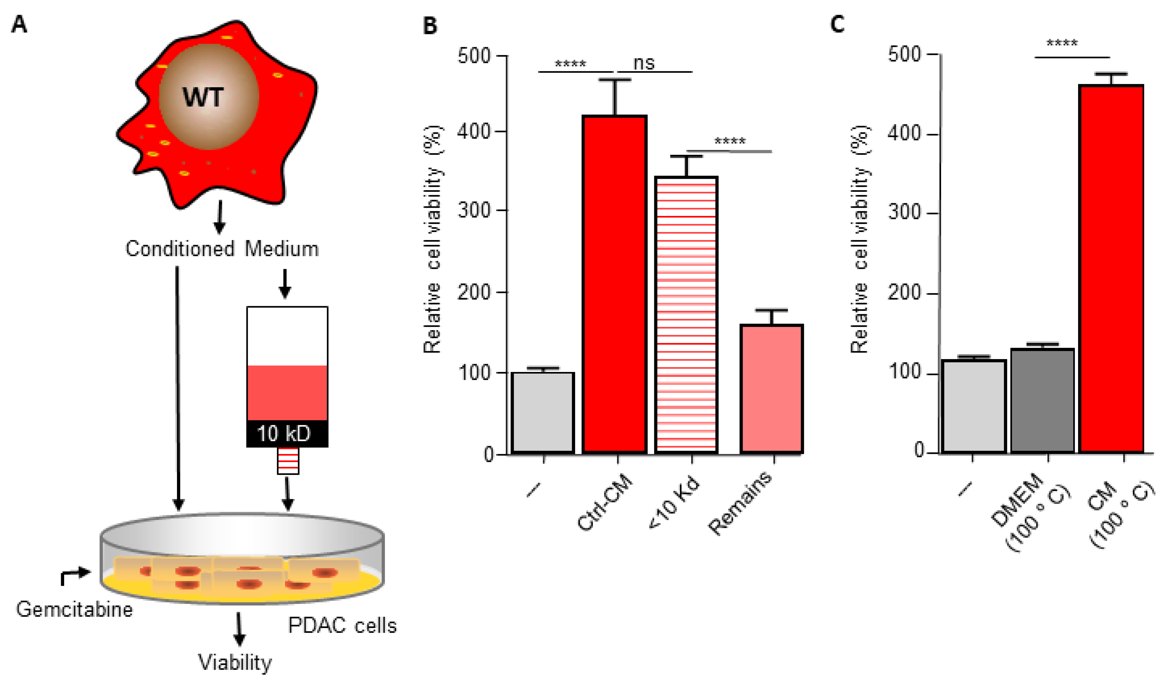 Biomedicines 10 00219 g003a