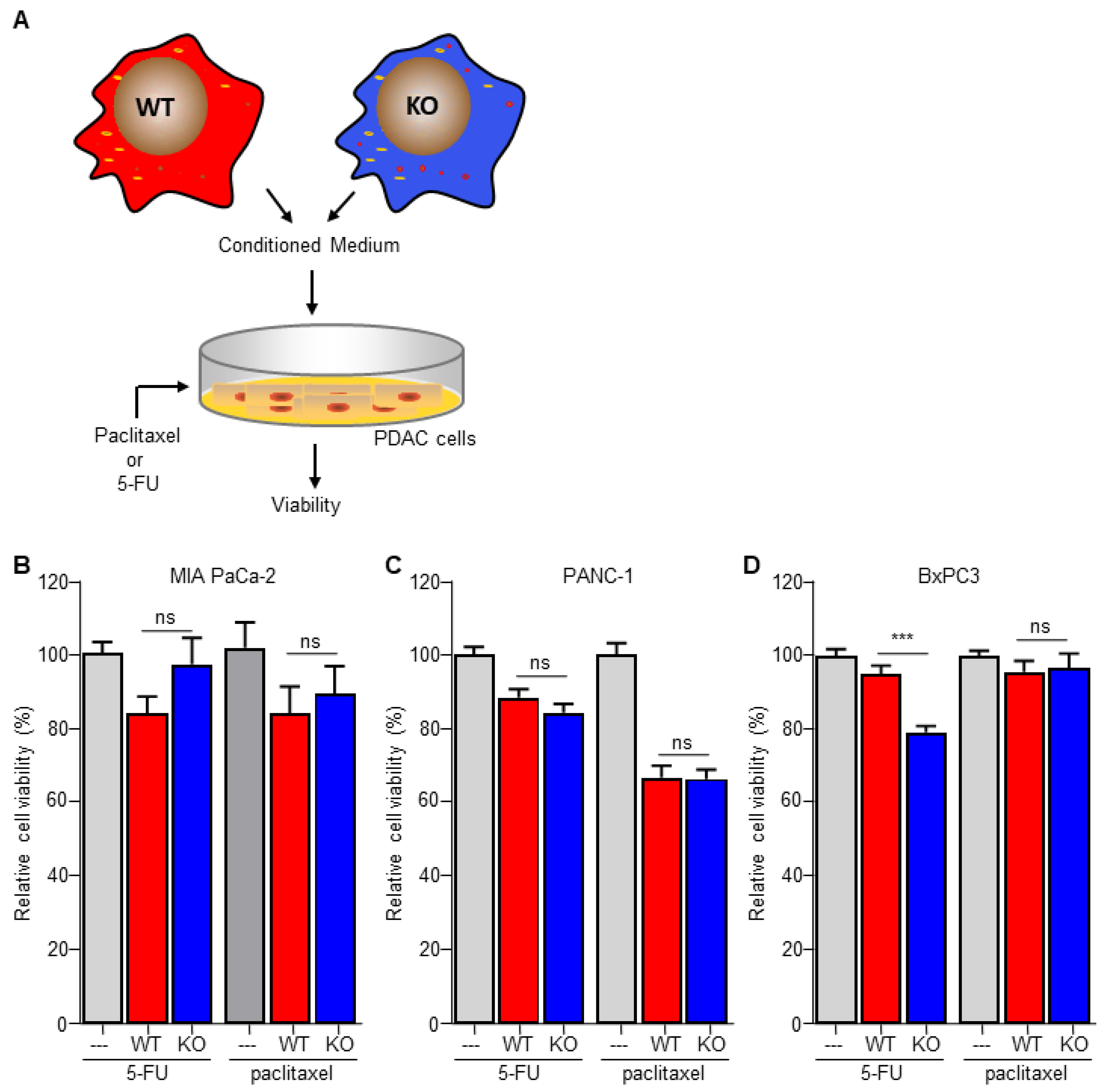 Biomedicines 10 00219 g004