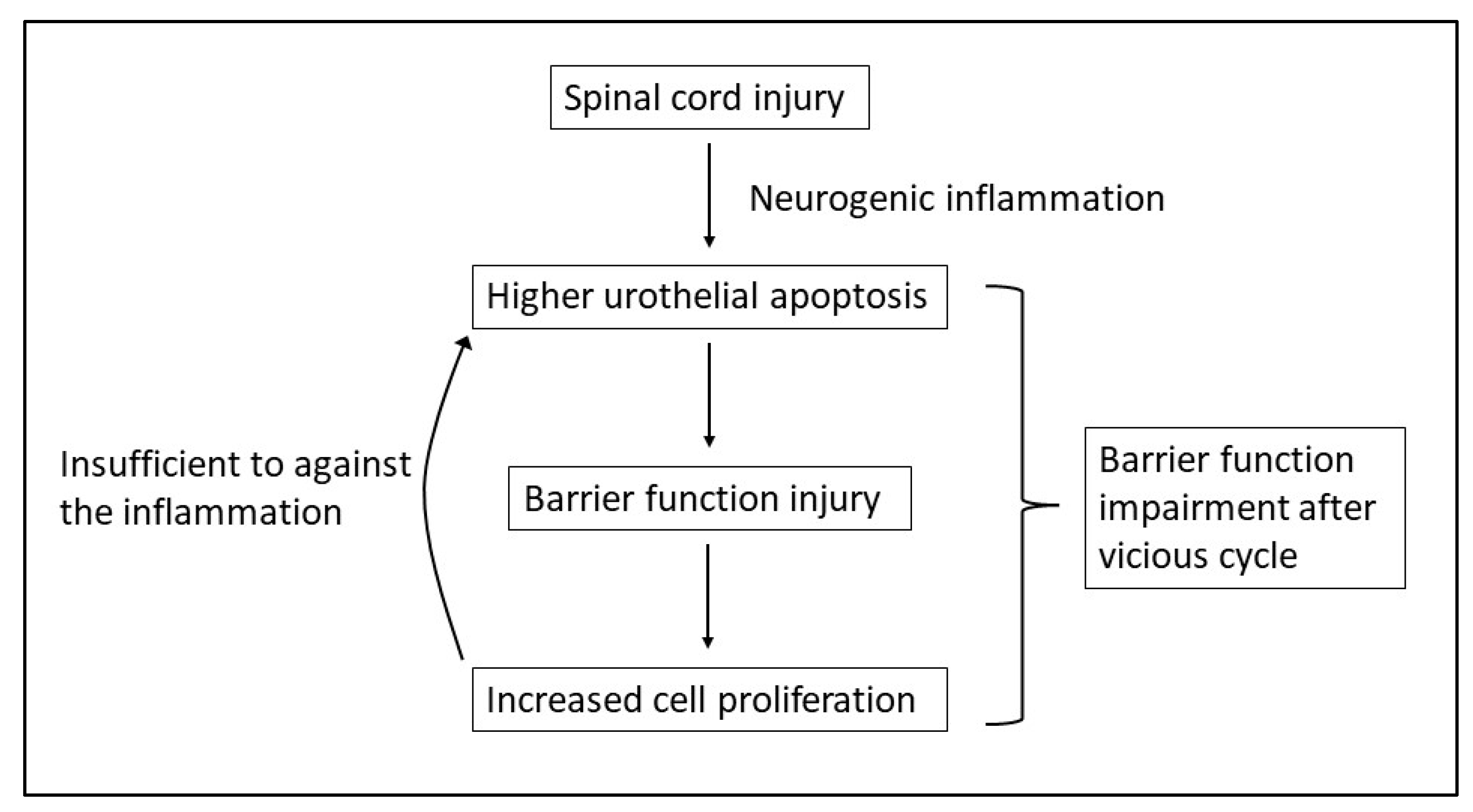 Biomedicines 10 00220 g004 550
