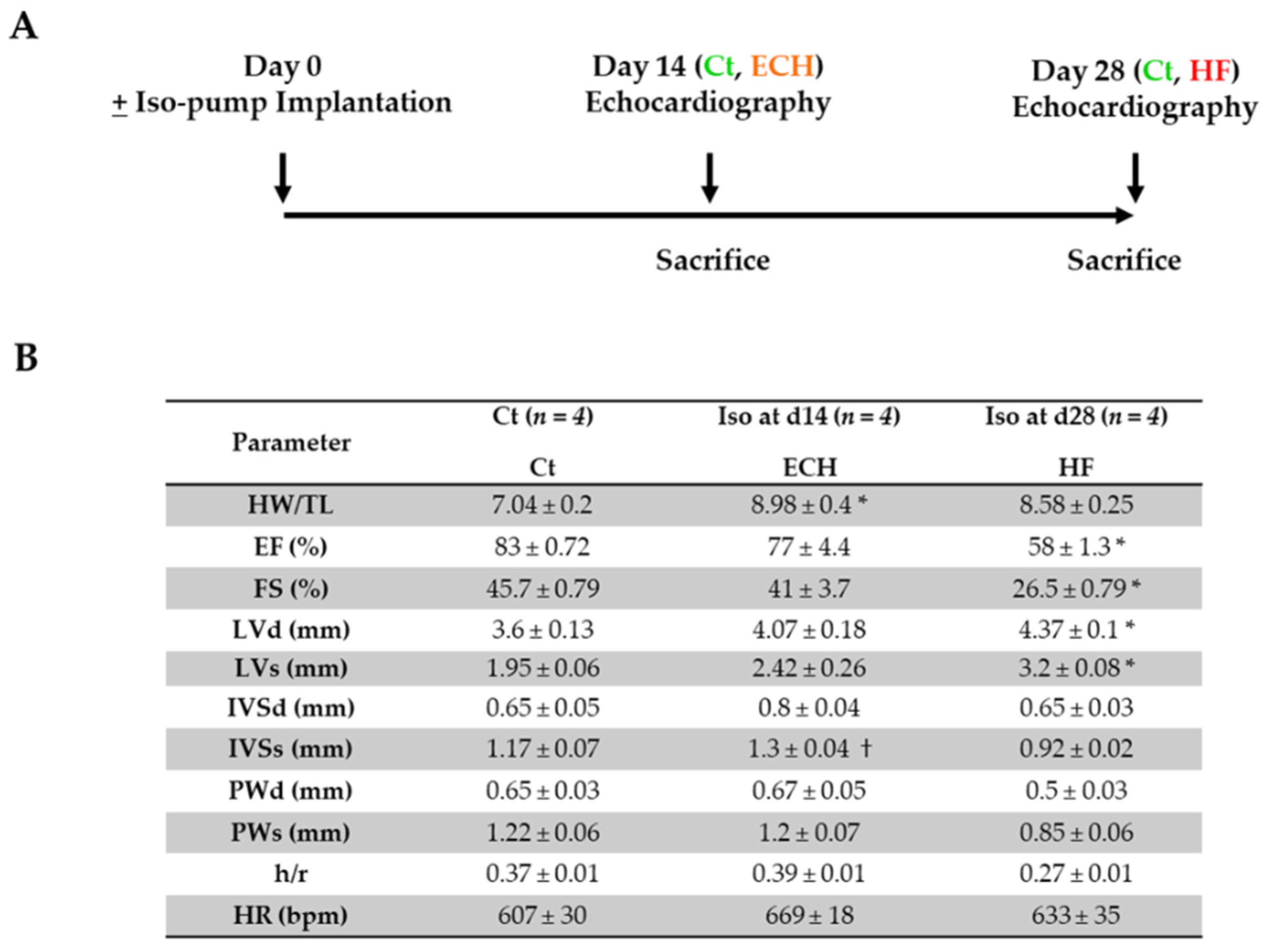 Biomedicines 10 00221 g001 Biomedicines 10 00221 g001