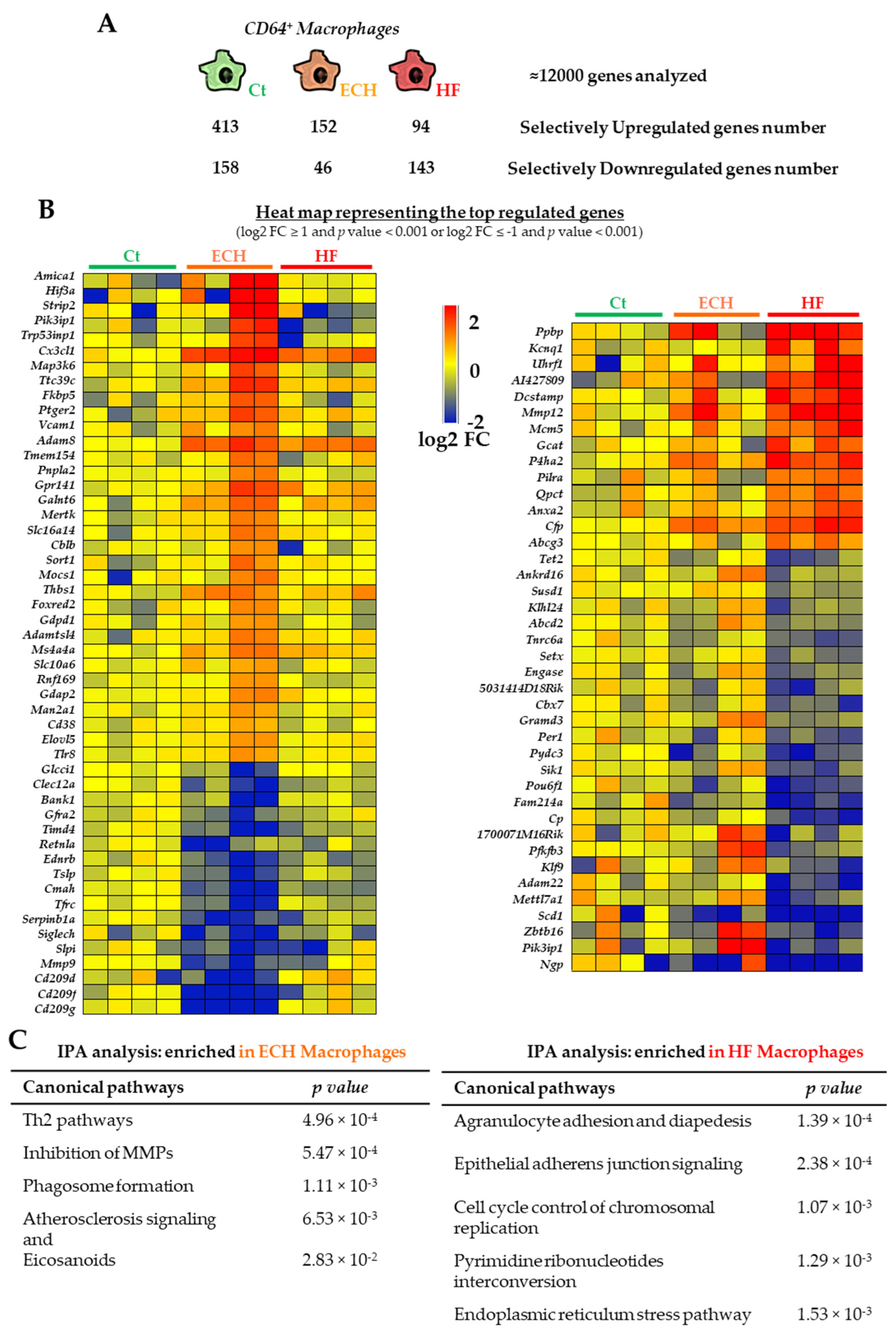 Biomedicines 10 00221 g002 Biomedicines 10 00221 g002