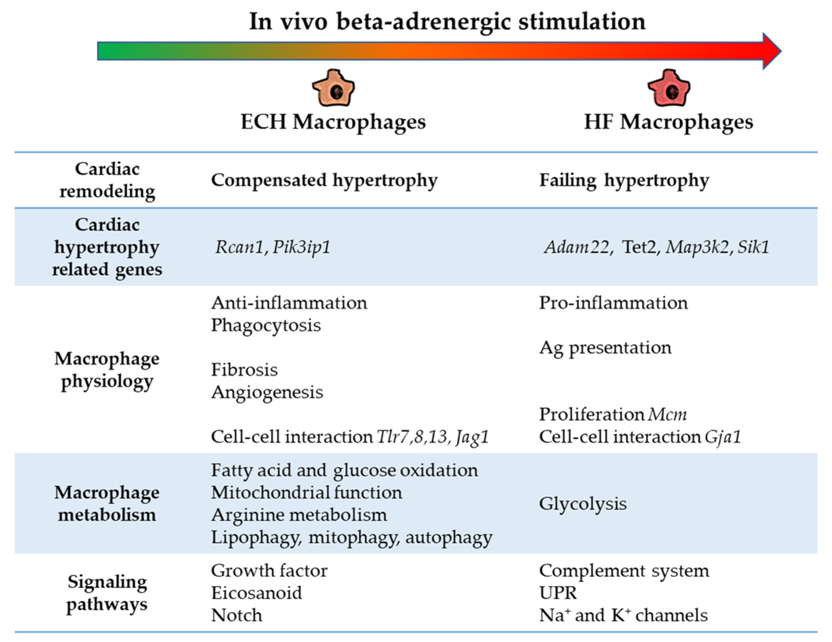 Biomedicines 10 00221 g008 Biomedicines 10 00221 g008