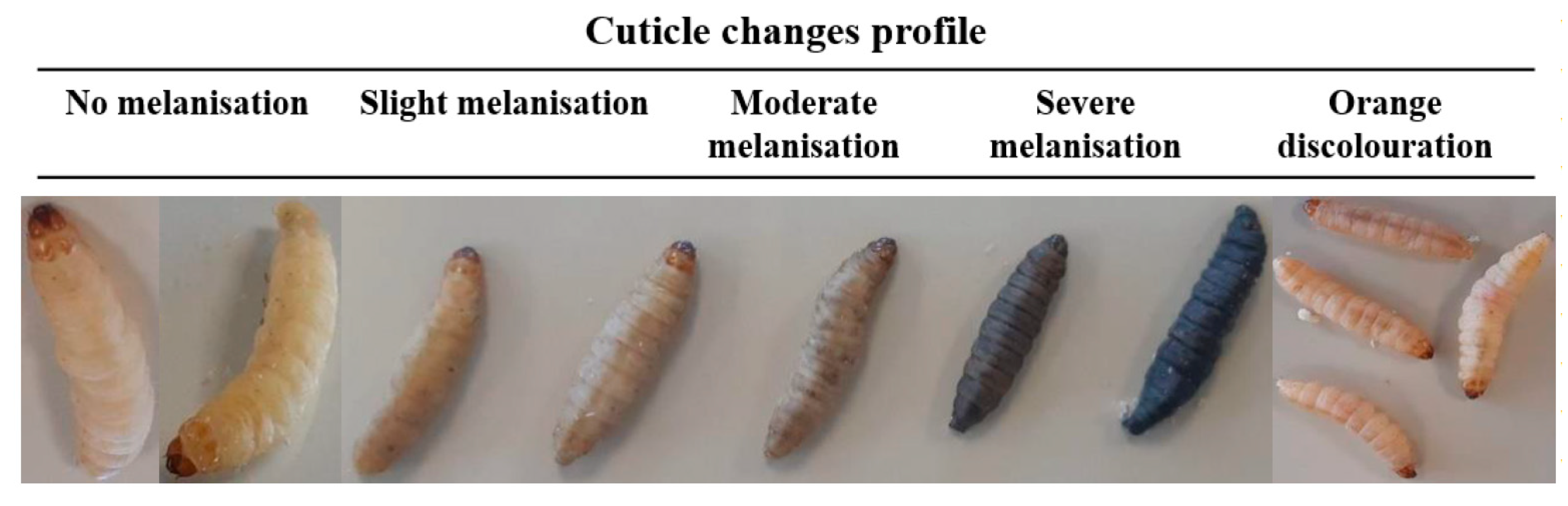 Biomedicines 10 00222 g003