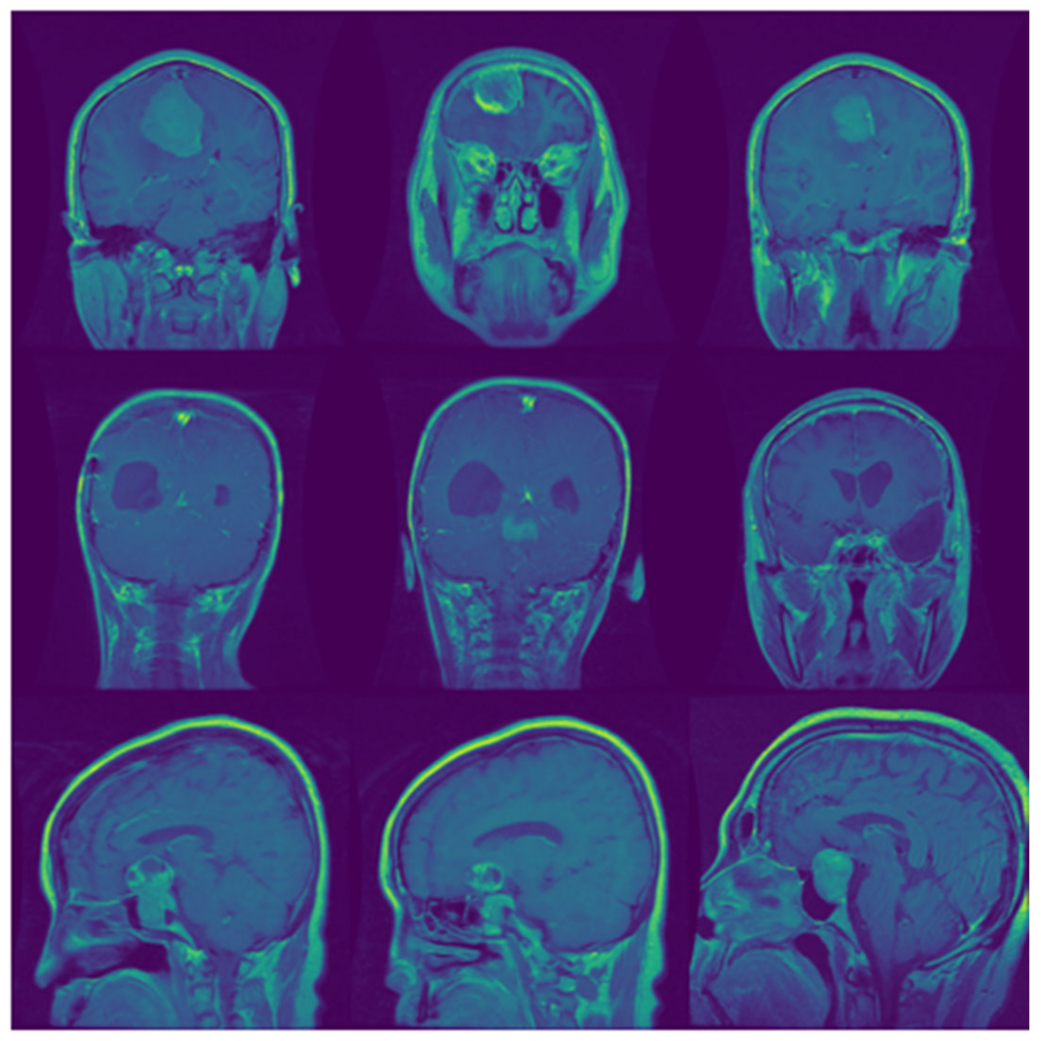 Biomedicines 10 00223 g001 550