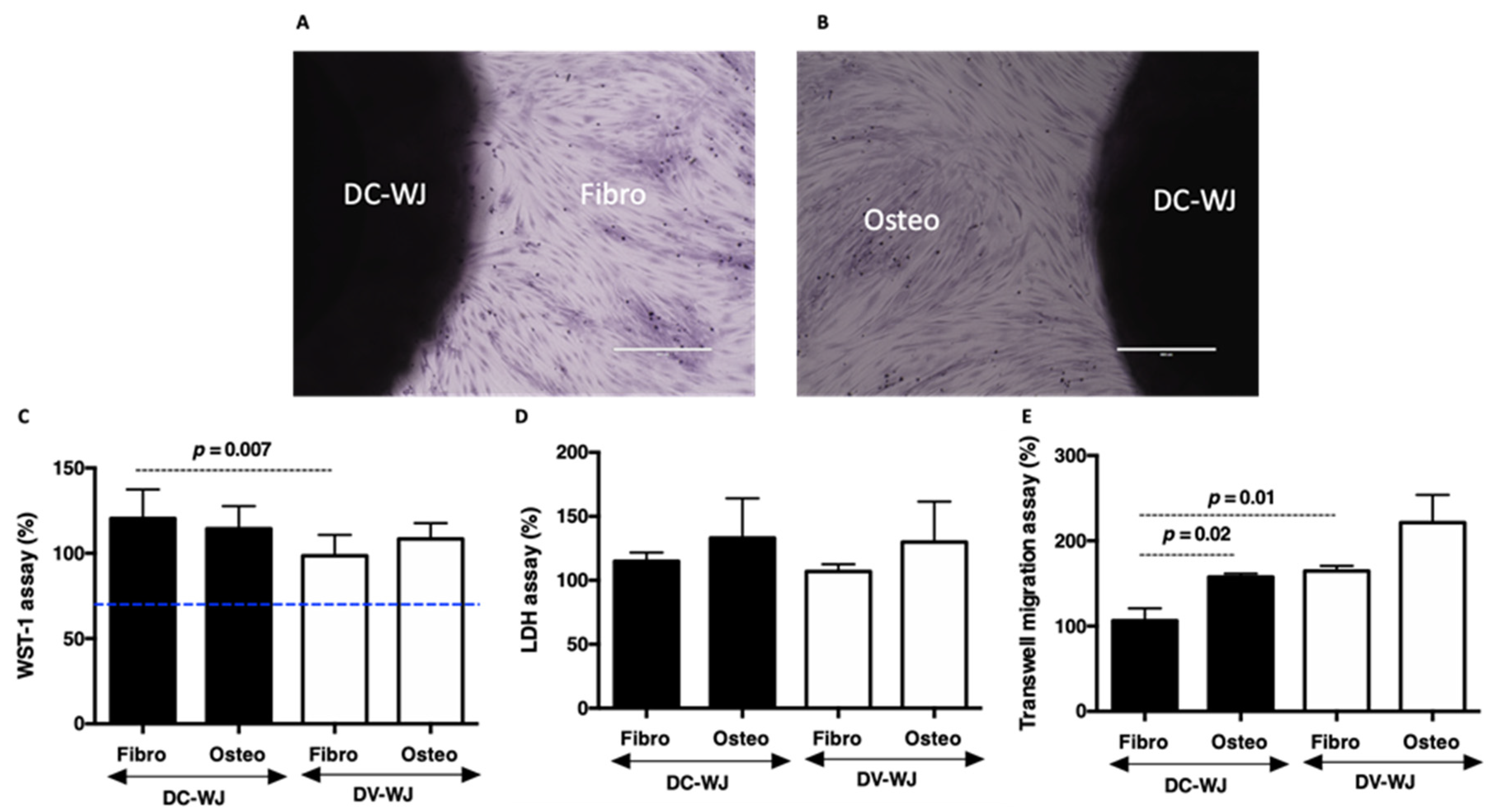 Biomedicines 10 00227 g002