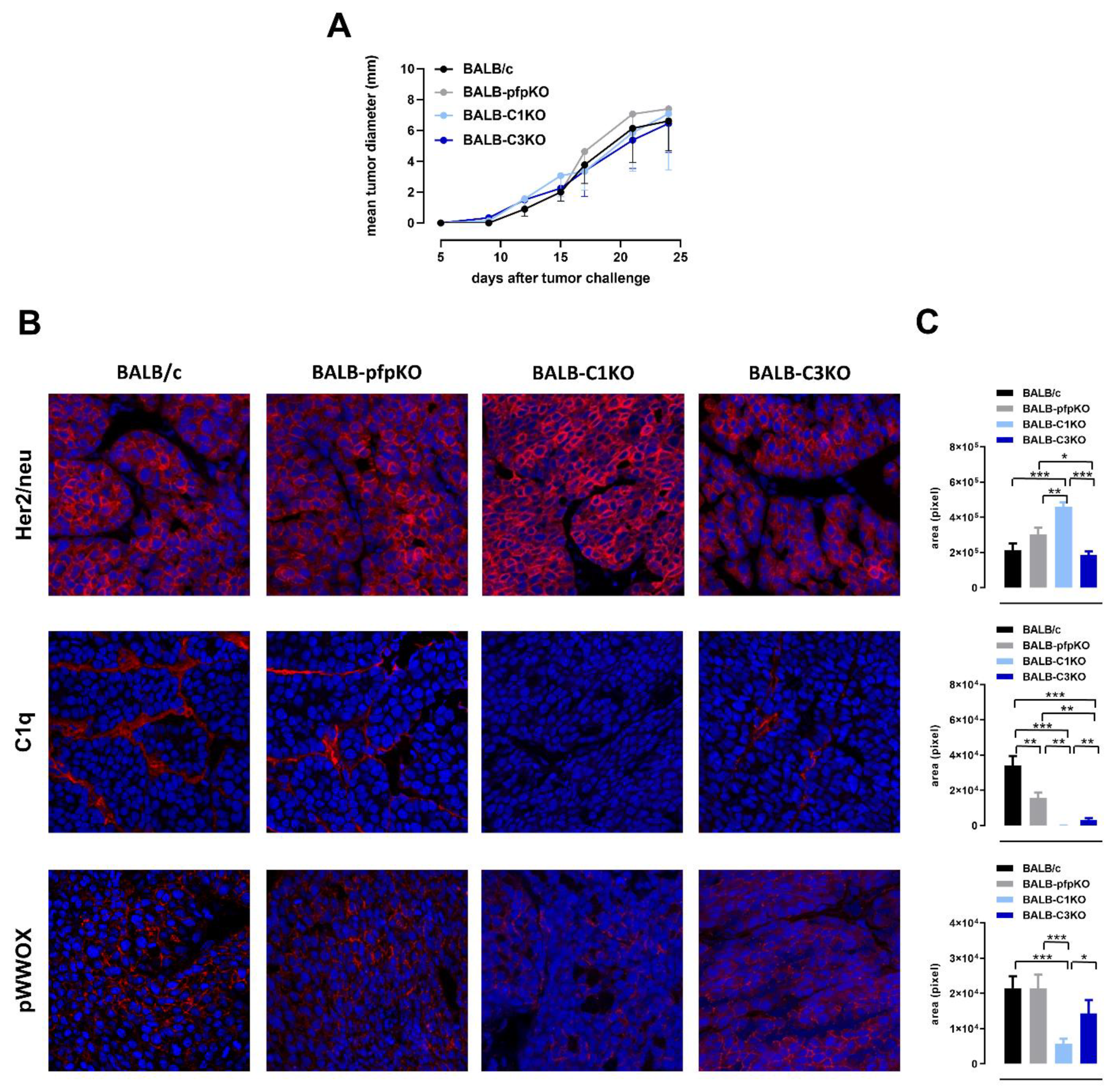 Biomedicines 10 00230 g001 550