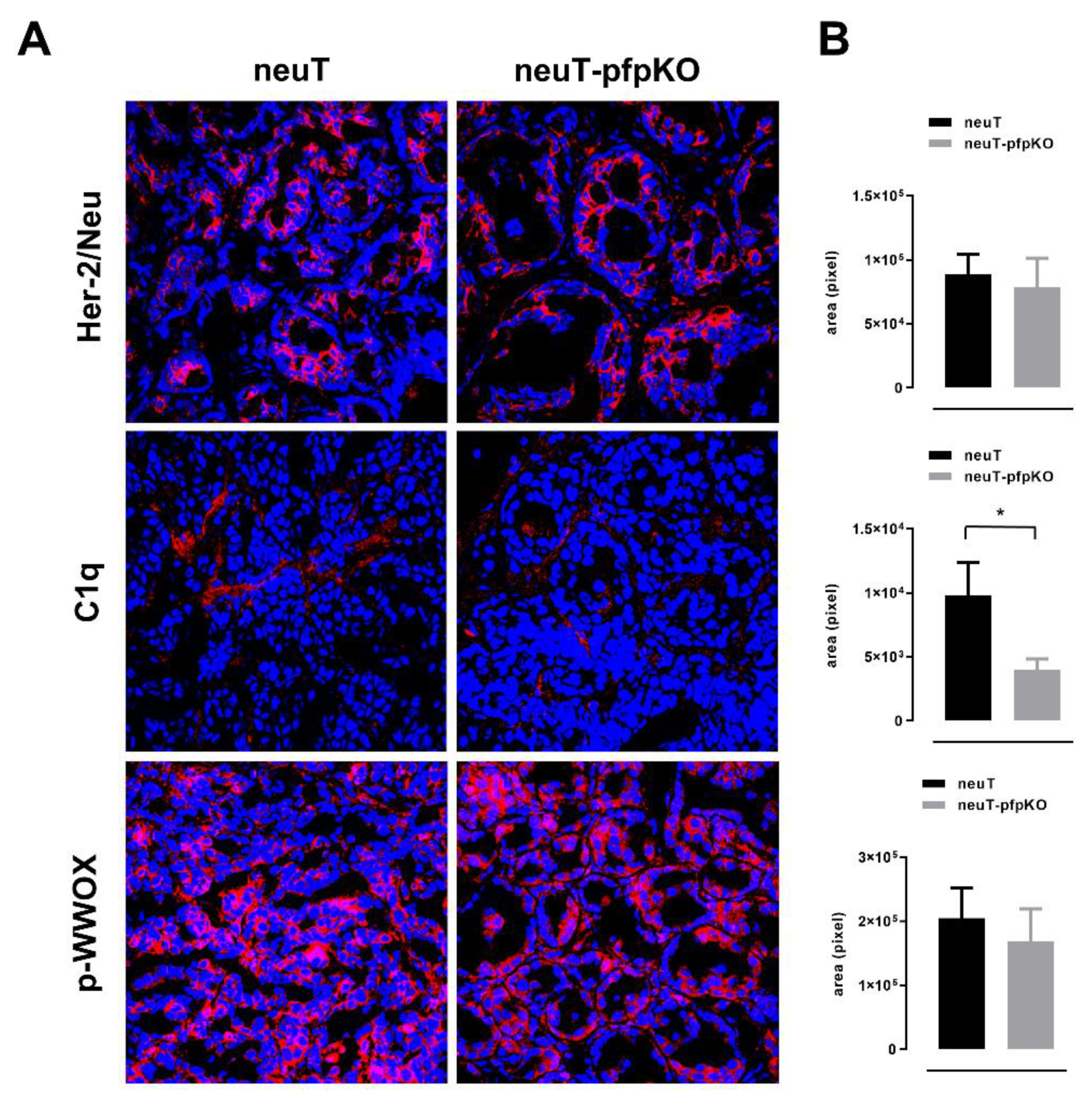 Biomedicines 10 00230 g005 550