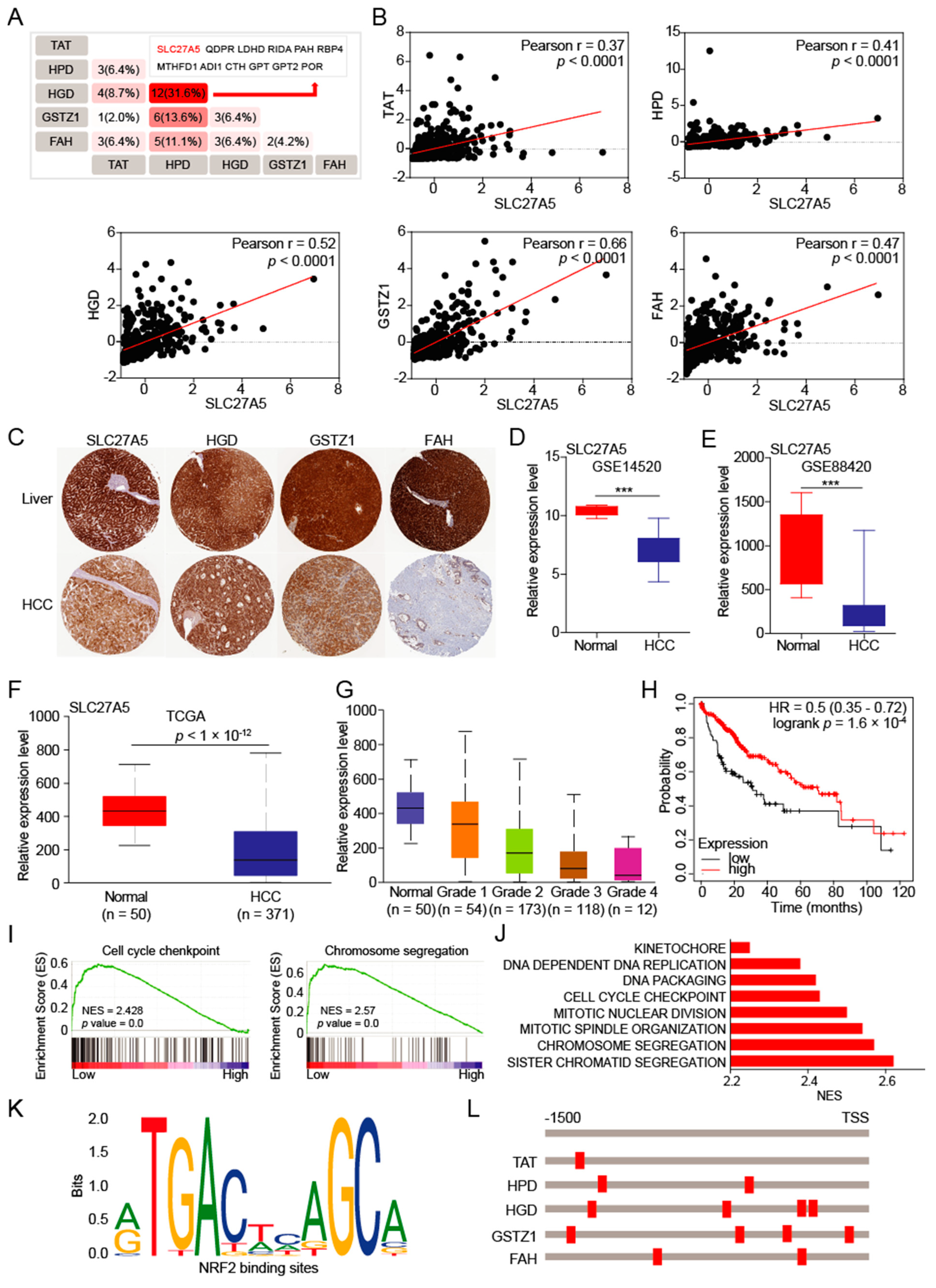 Biomedicines 10 00234 g004