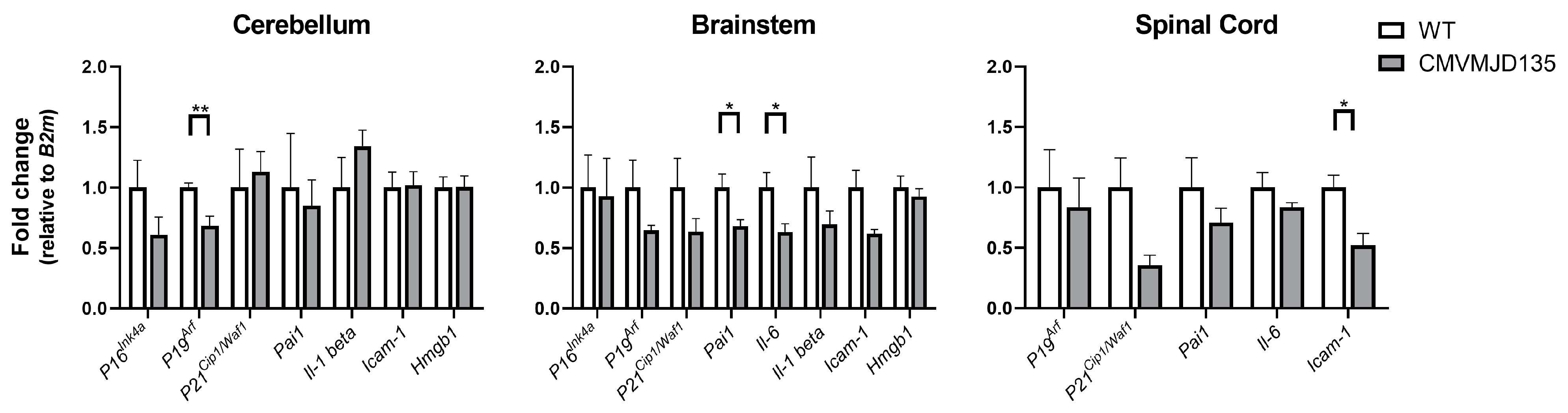 Biomedicines 10 00237 g002