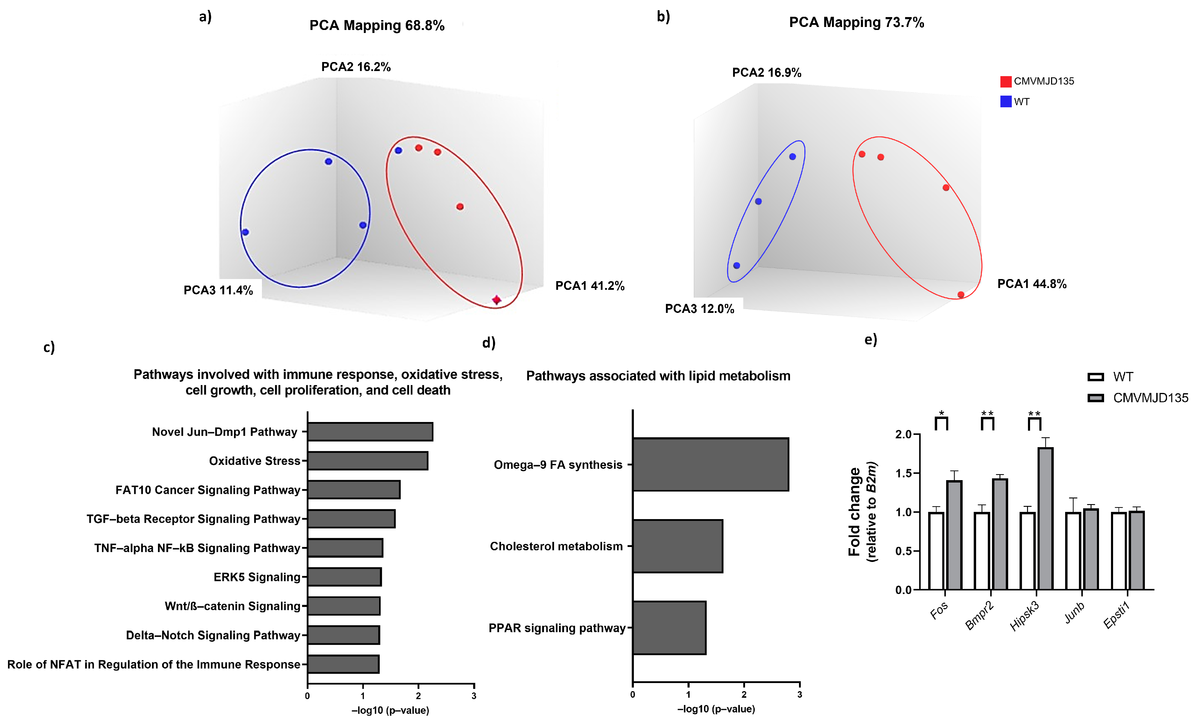 Biomedicines 10 00237 g007