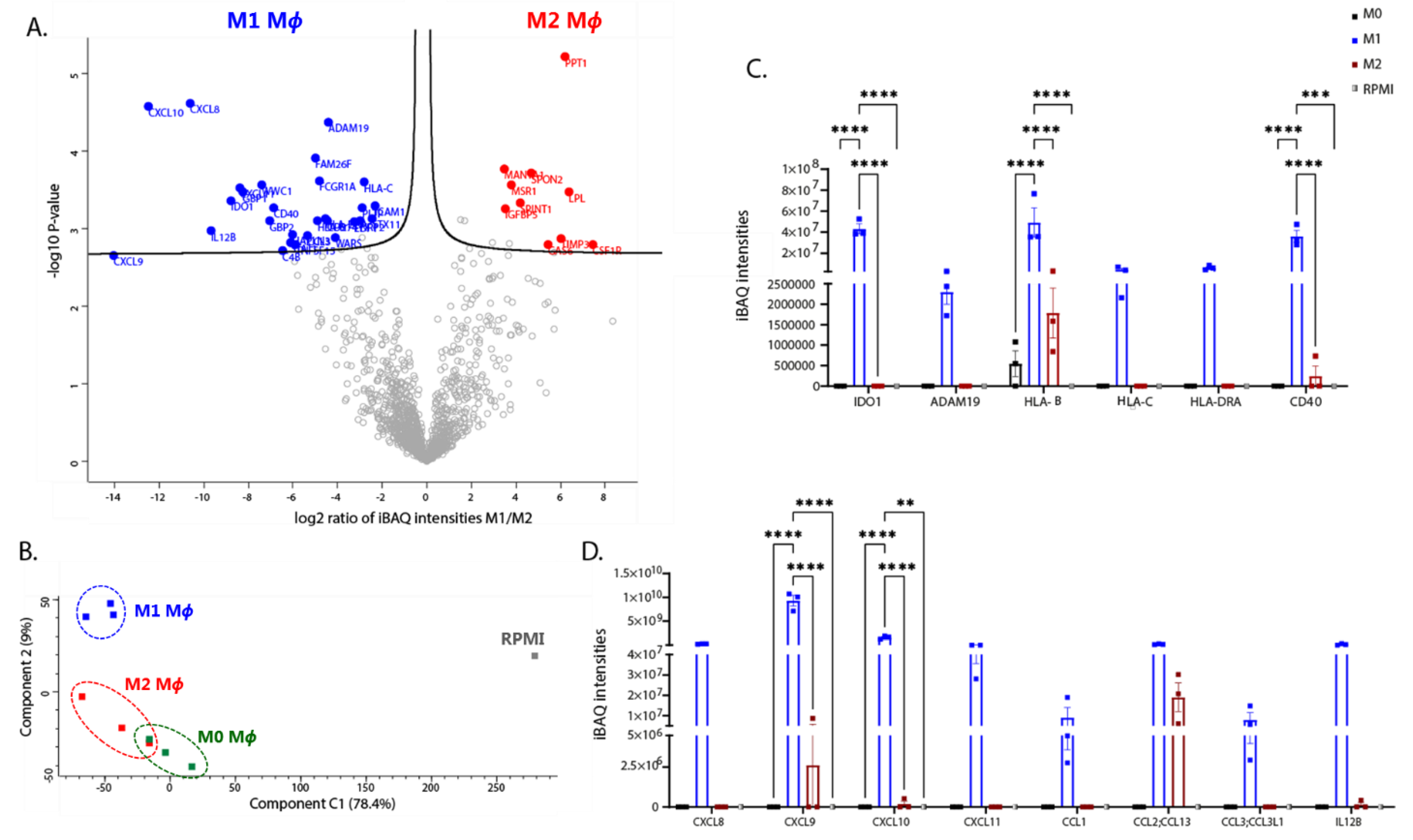 Biomedicines 10 00239 g009 Biomedicines 10 00239 g009
