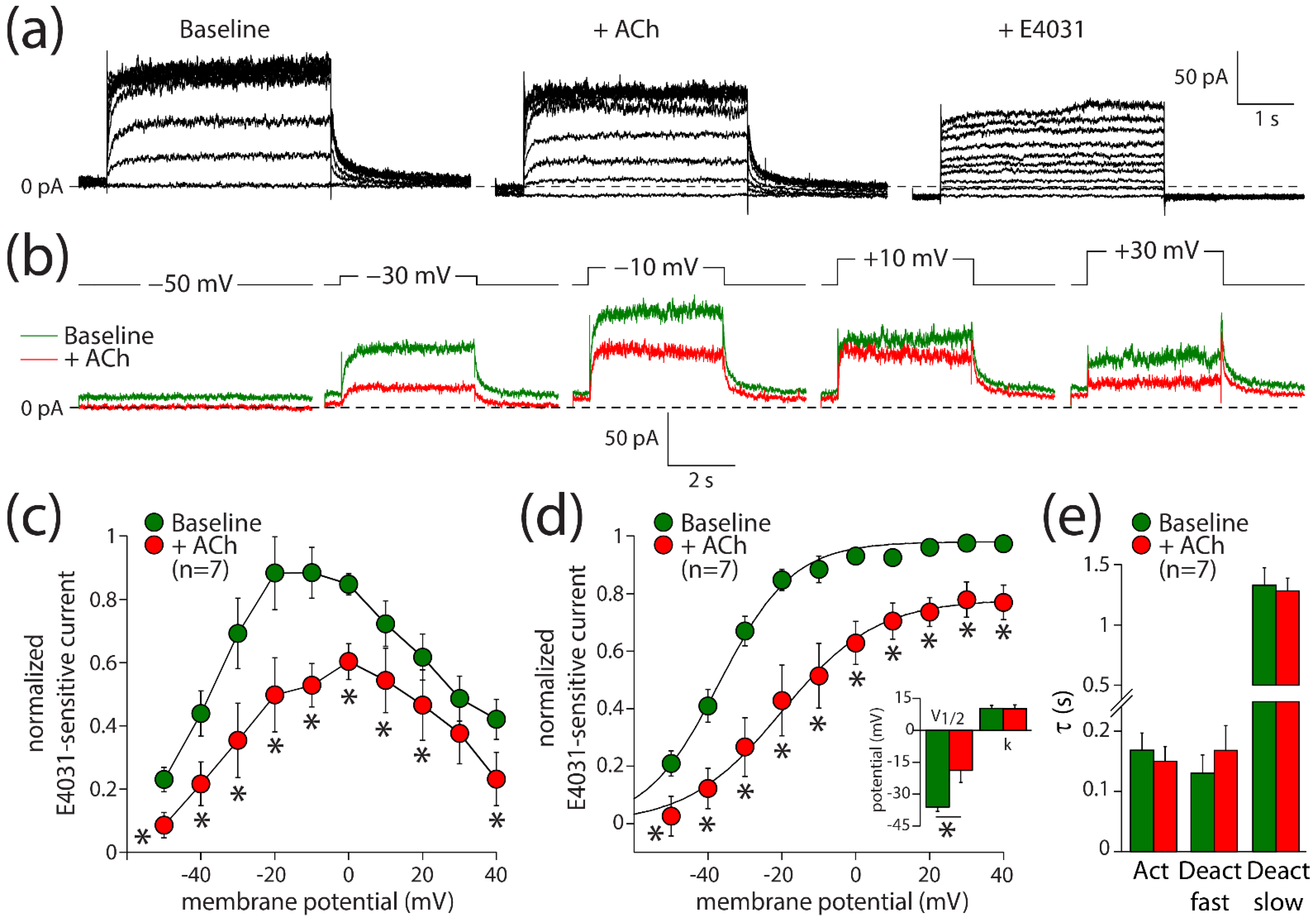 Biomedicines 10 00244 g003 Biomedicines 10 00244 g003