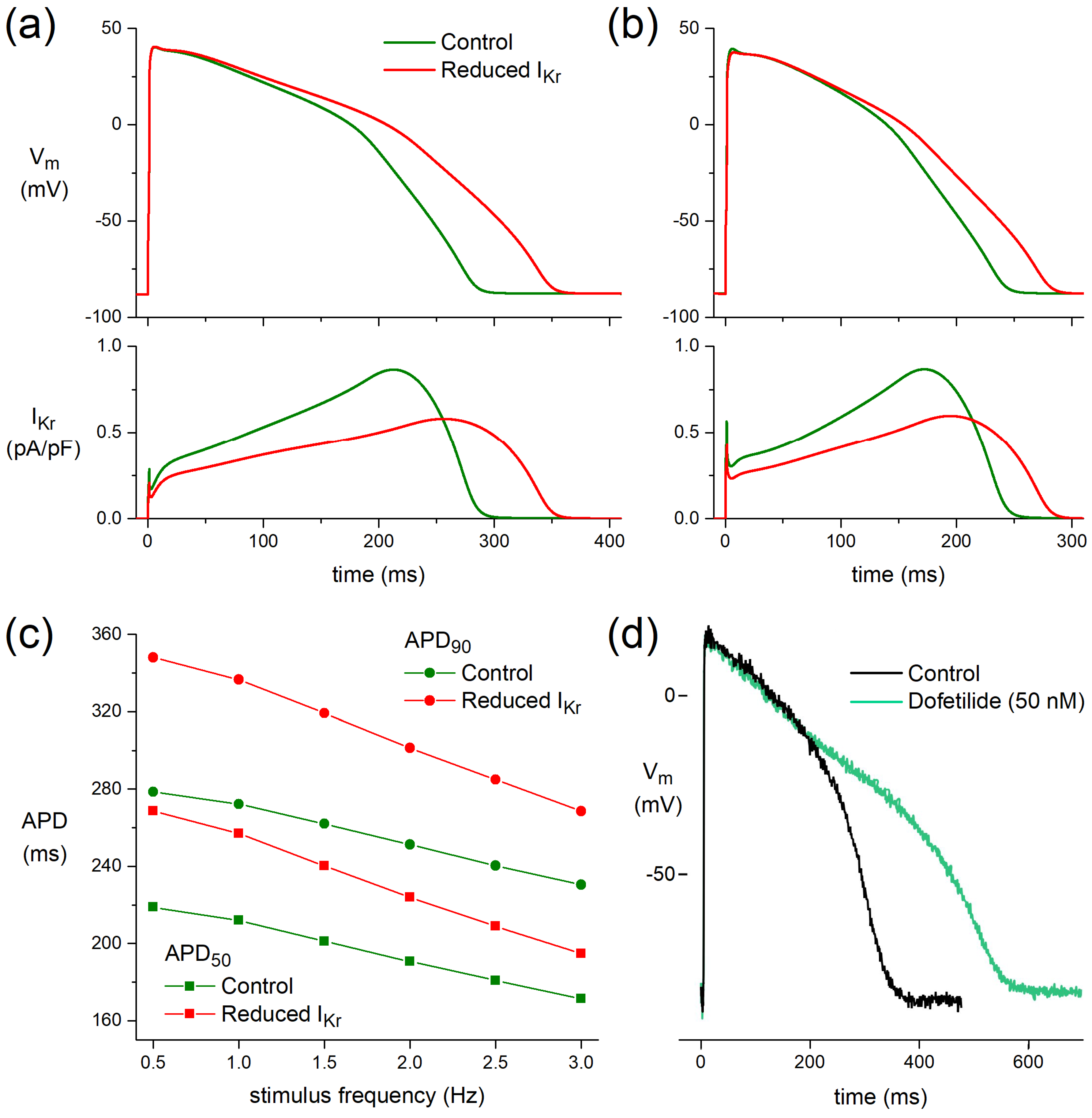 Biomedicines 10 00244 g005 Biomedicines 10 00244 g005