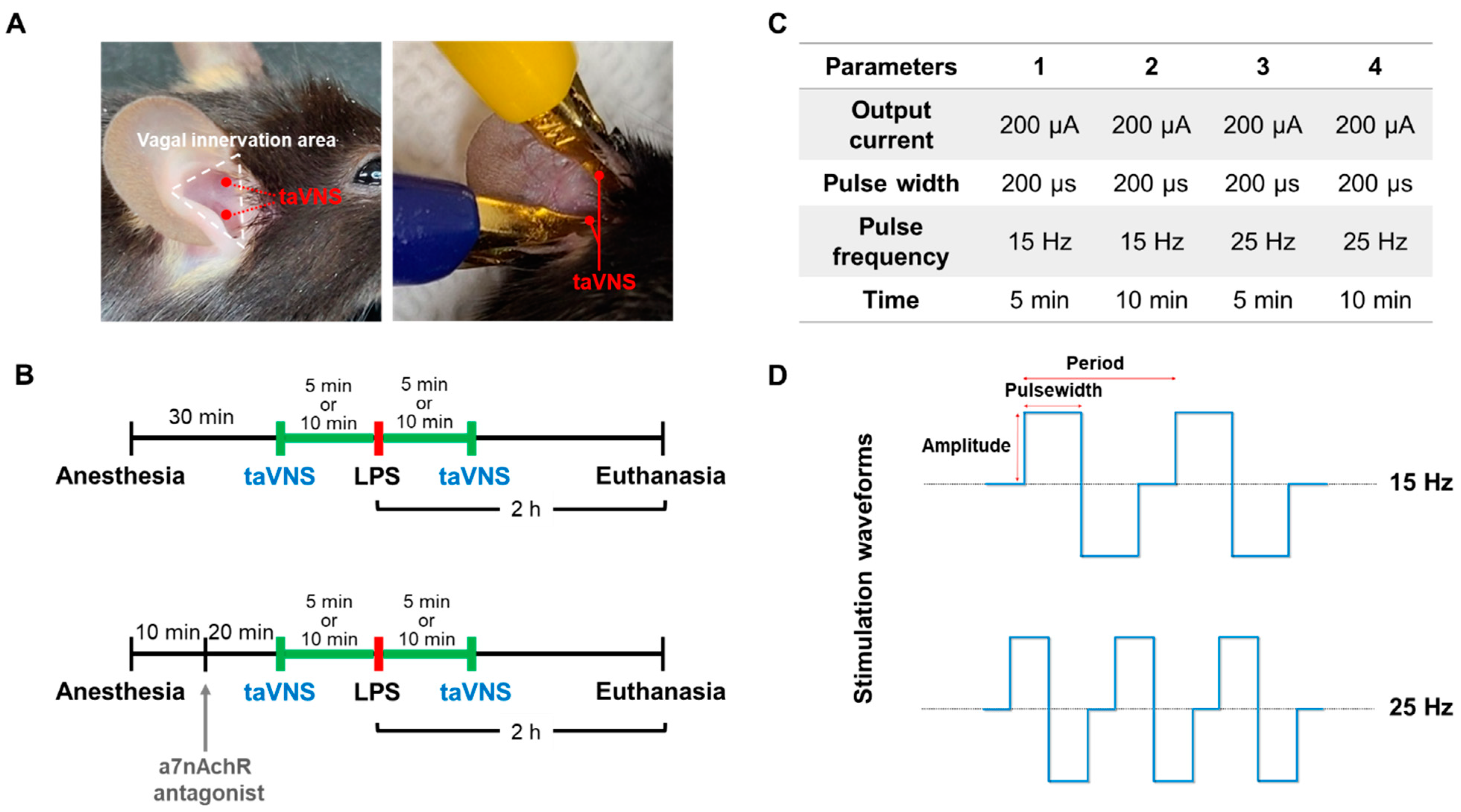 Biomedicines Free FullText Different Transcutaneous Auricular