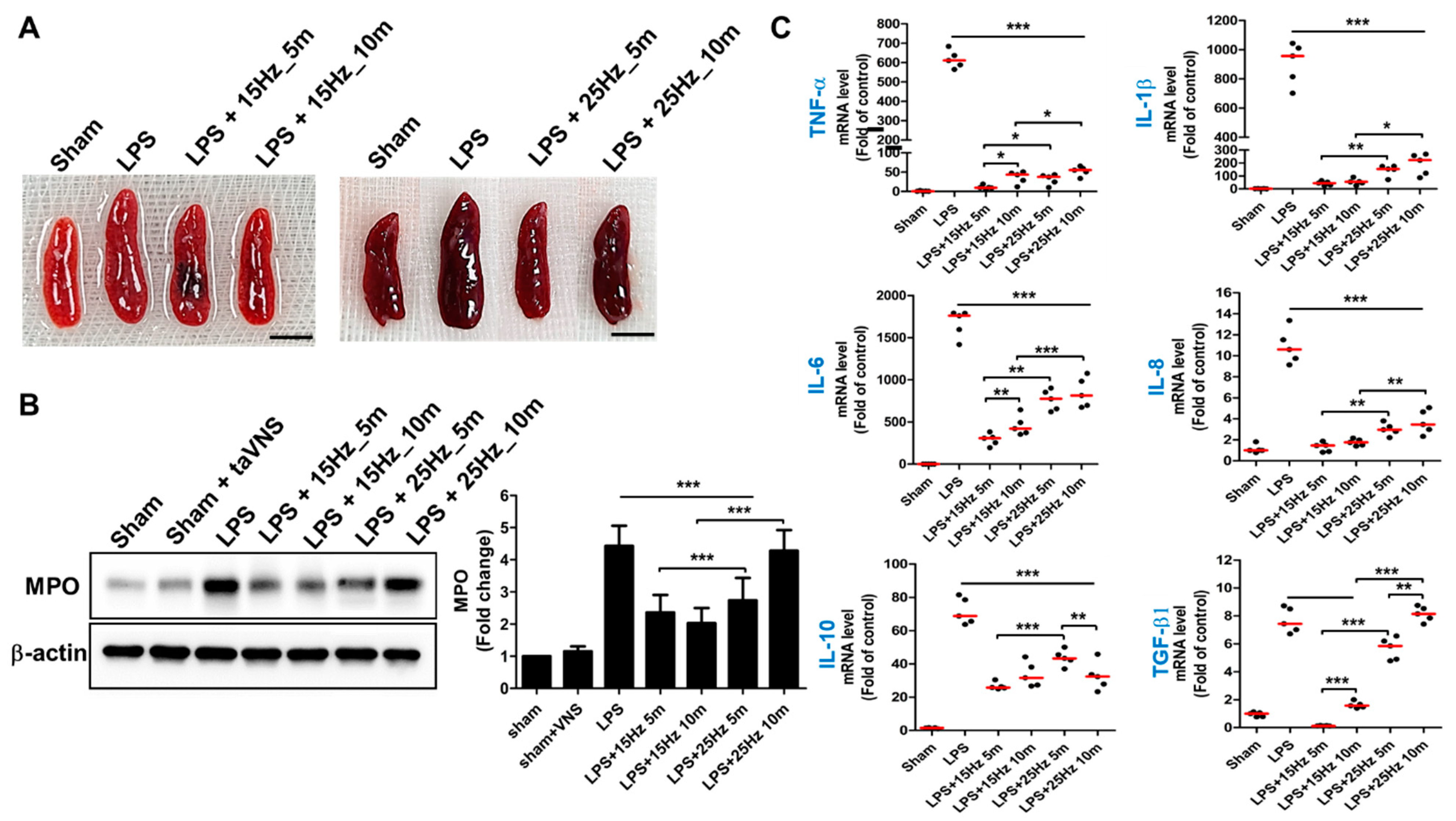 Biomedicines 10 00247 g003