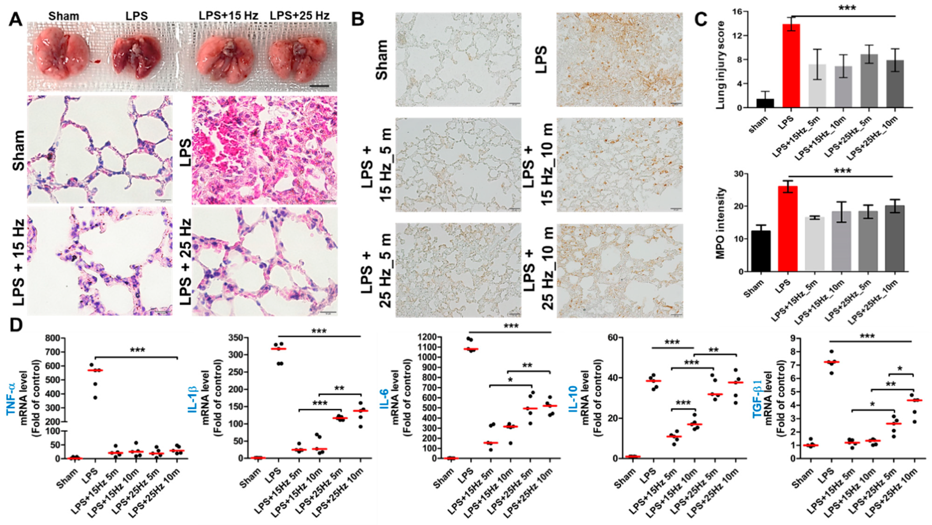 Biomedicines 10 00247 g004