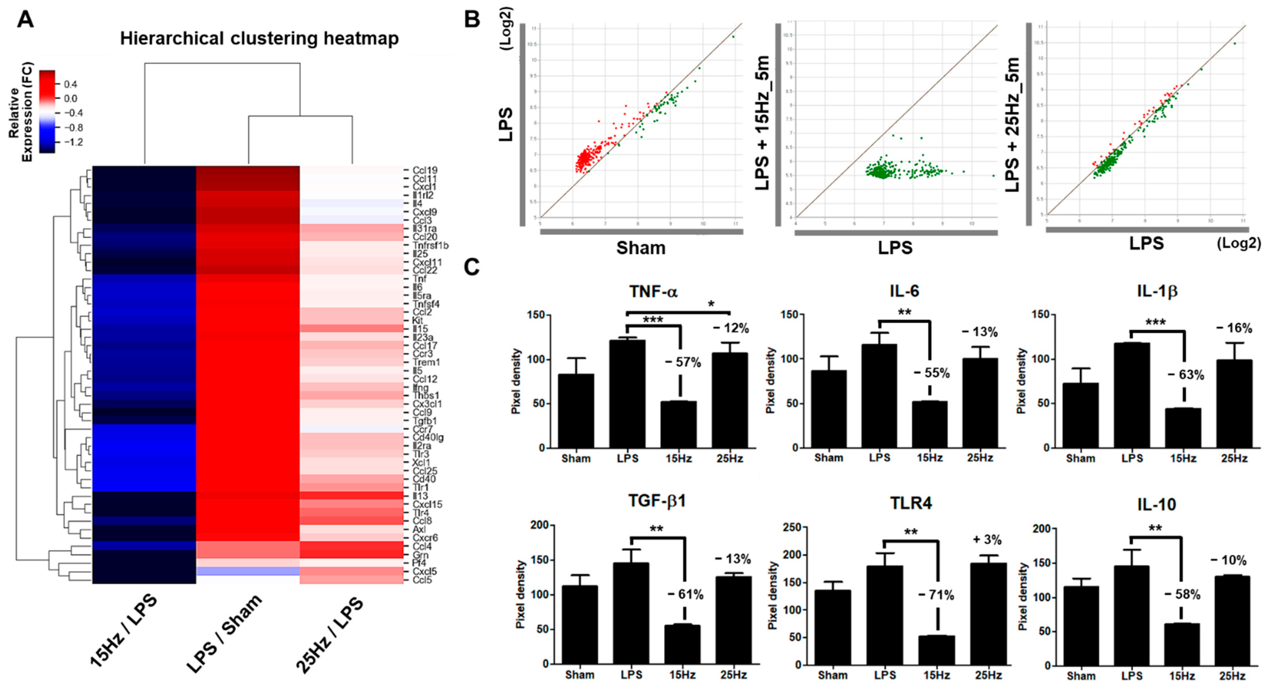 Biomedicines 10 00247 g006