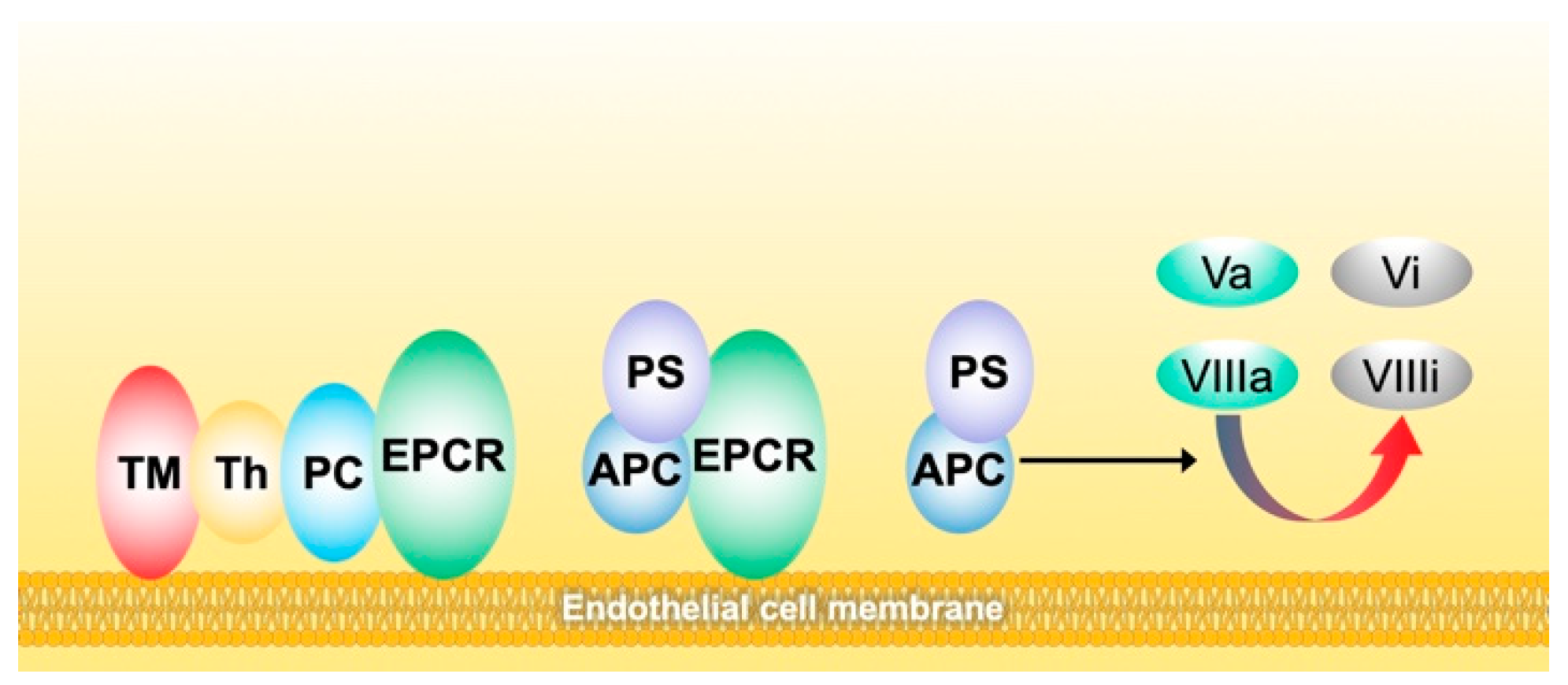 Biomedicines 10 00249 g003 550