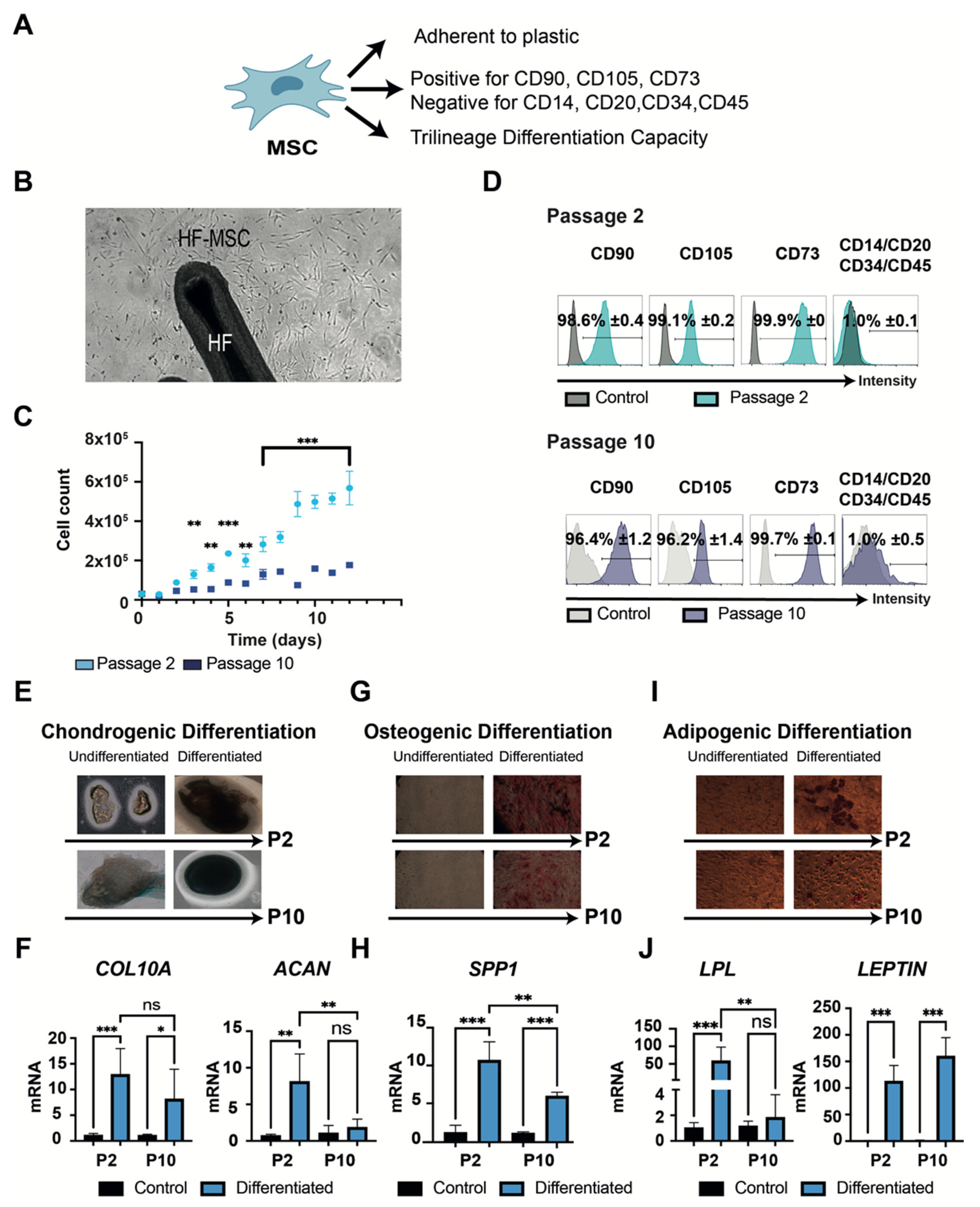 Biomedicines 10 00253 g002