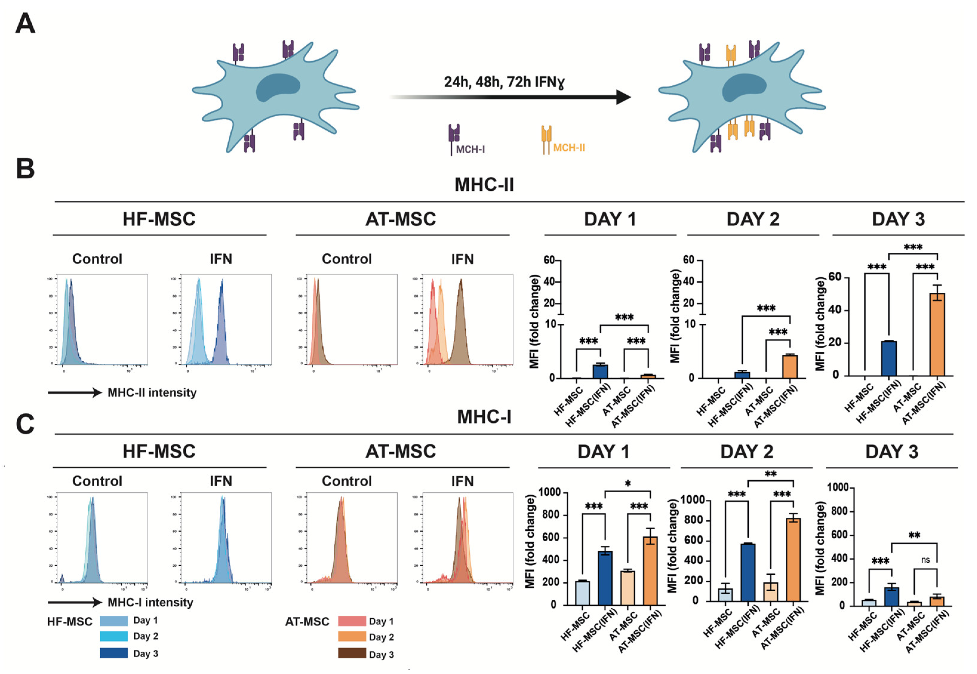 Biomedicines 10 00253 g004