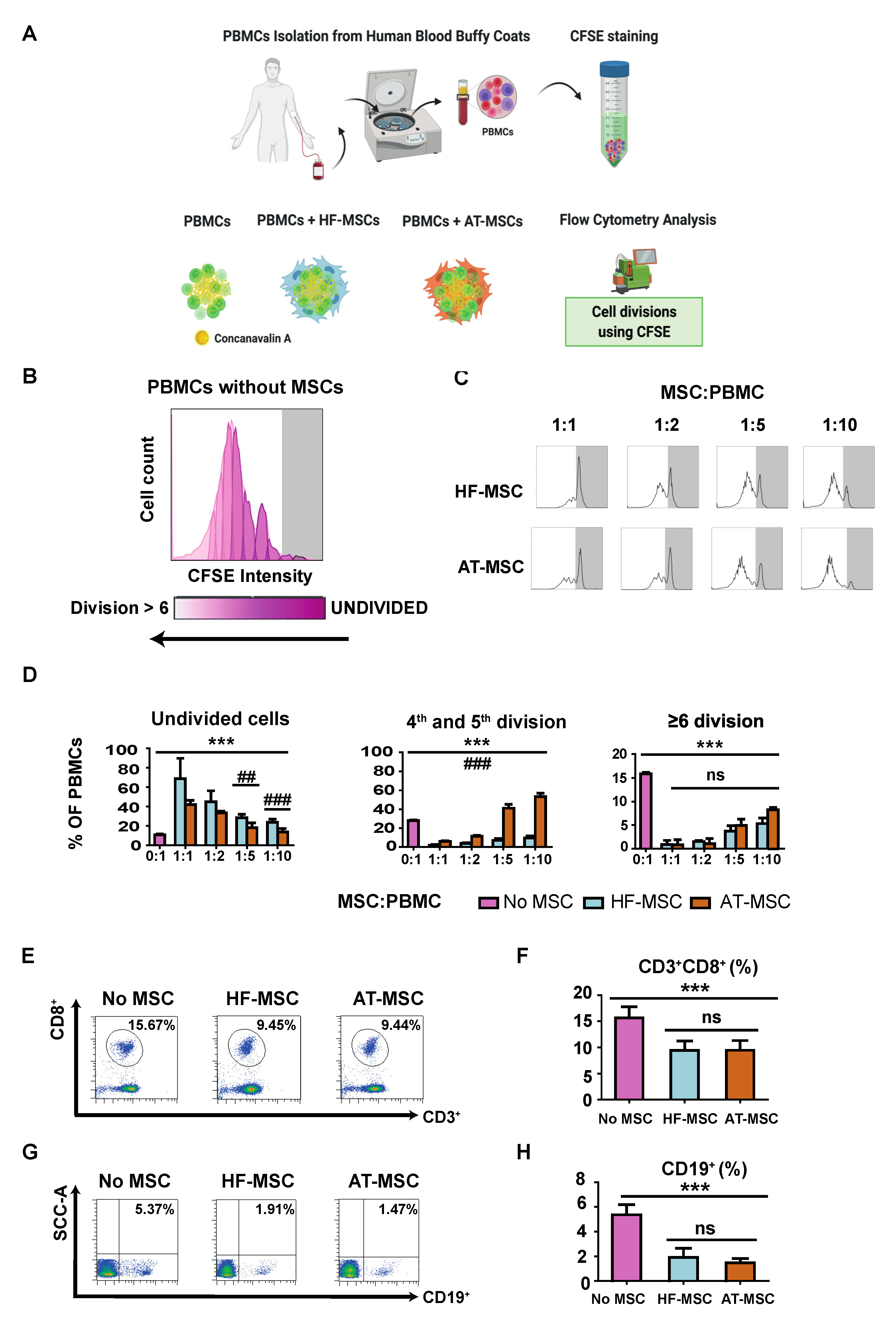 Biomedicines 10 00253 g005
