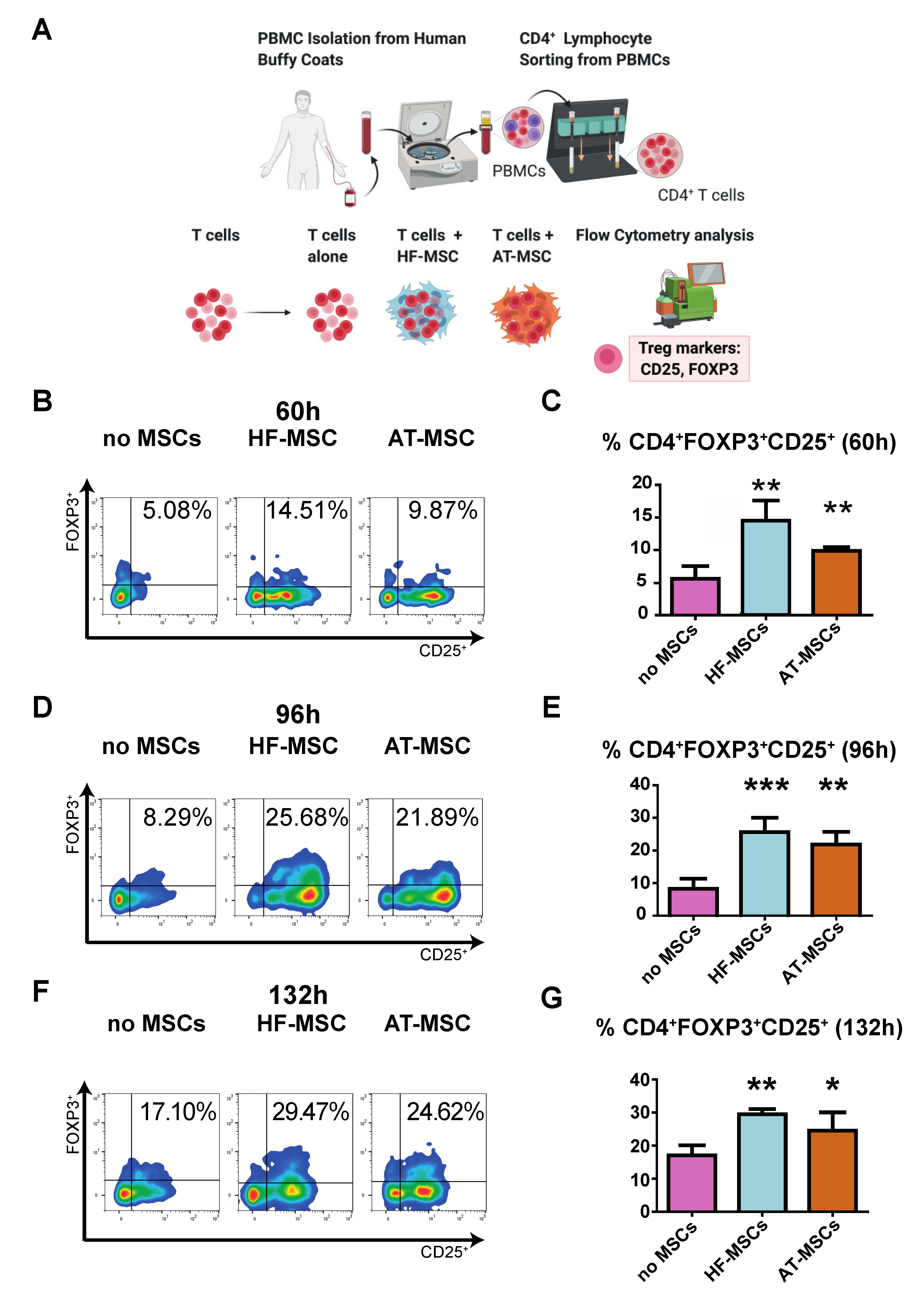 Biomedicines 10 00253 g006