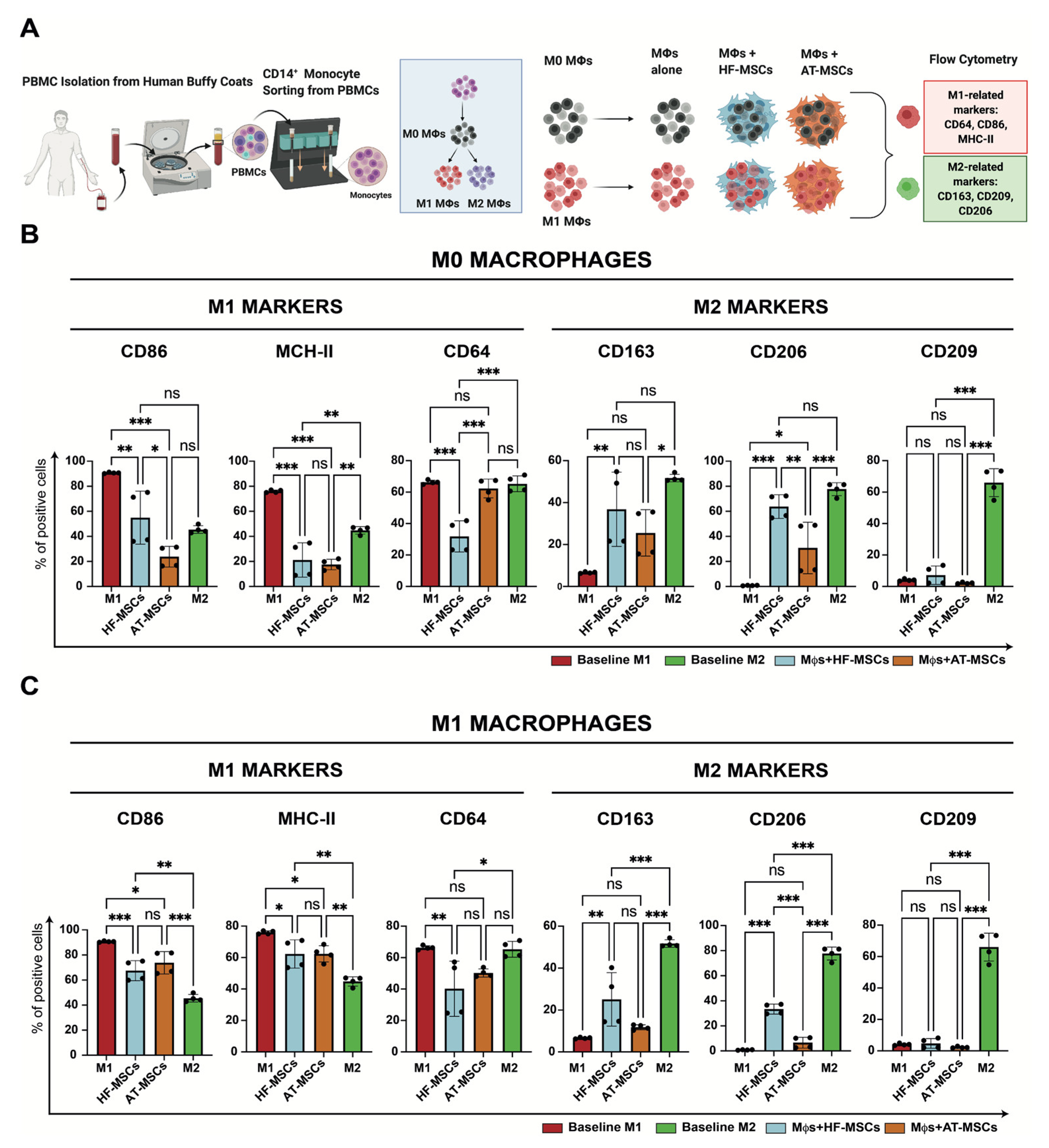 Biomedicines 10 00253 g007