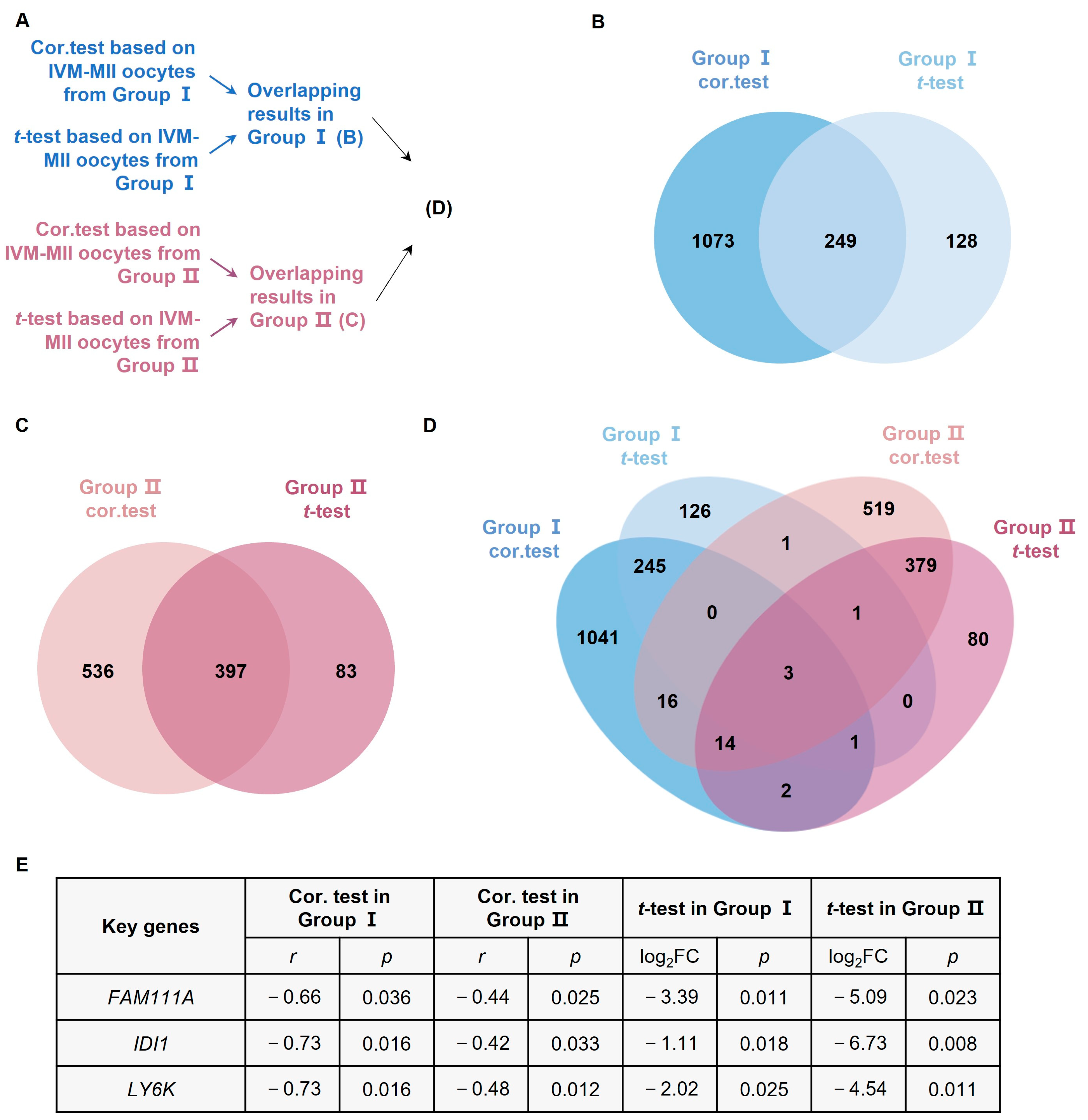 Biomedicines 10 00257 g002